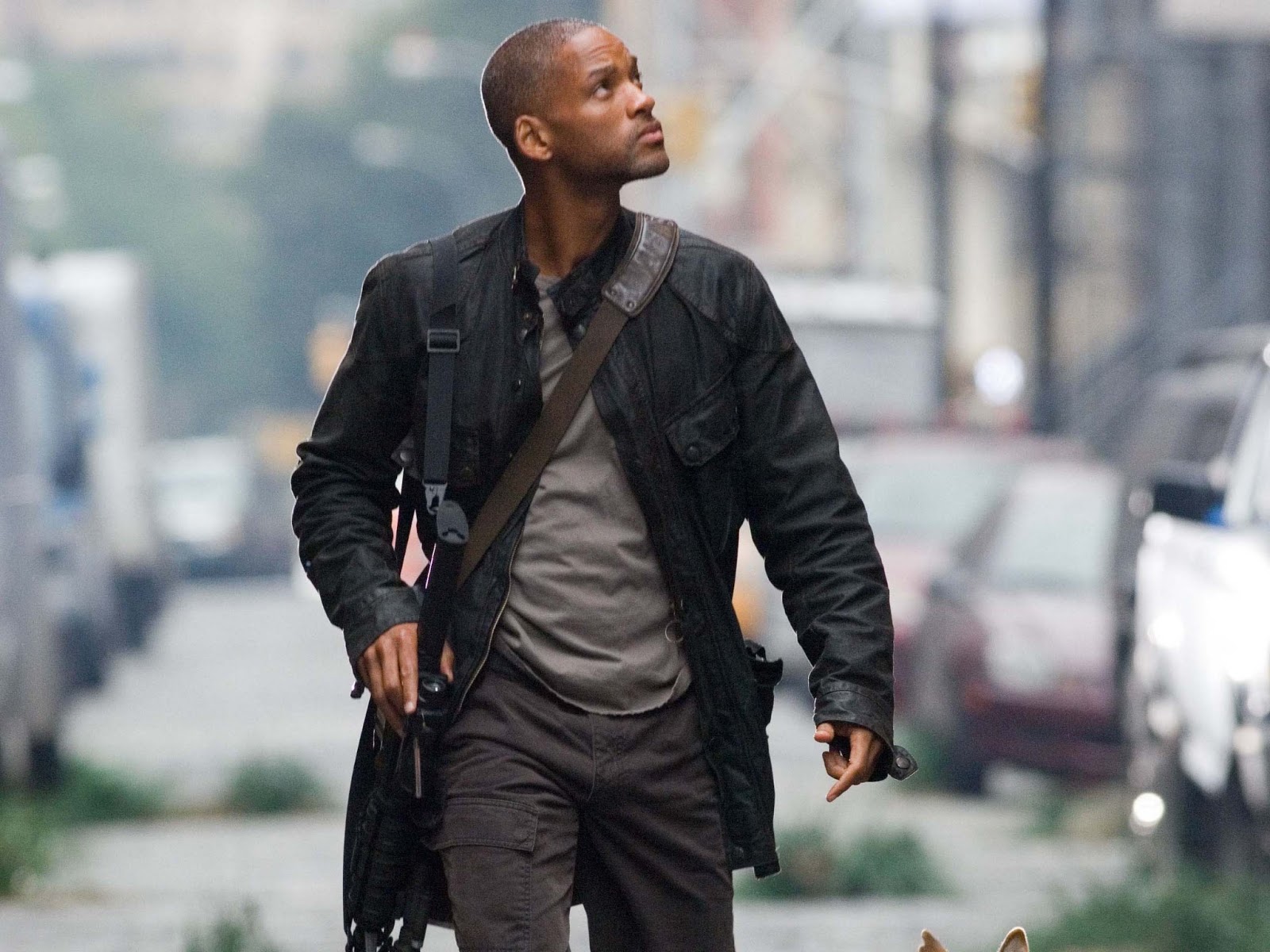 Am Legend Will Smith - HD Wallpaper 