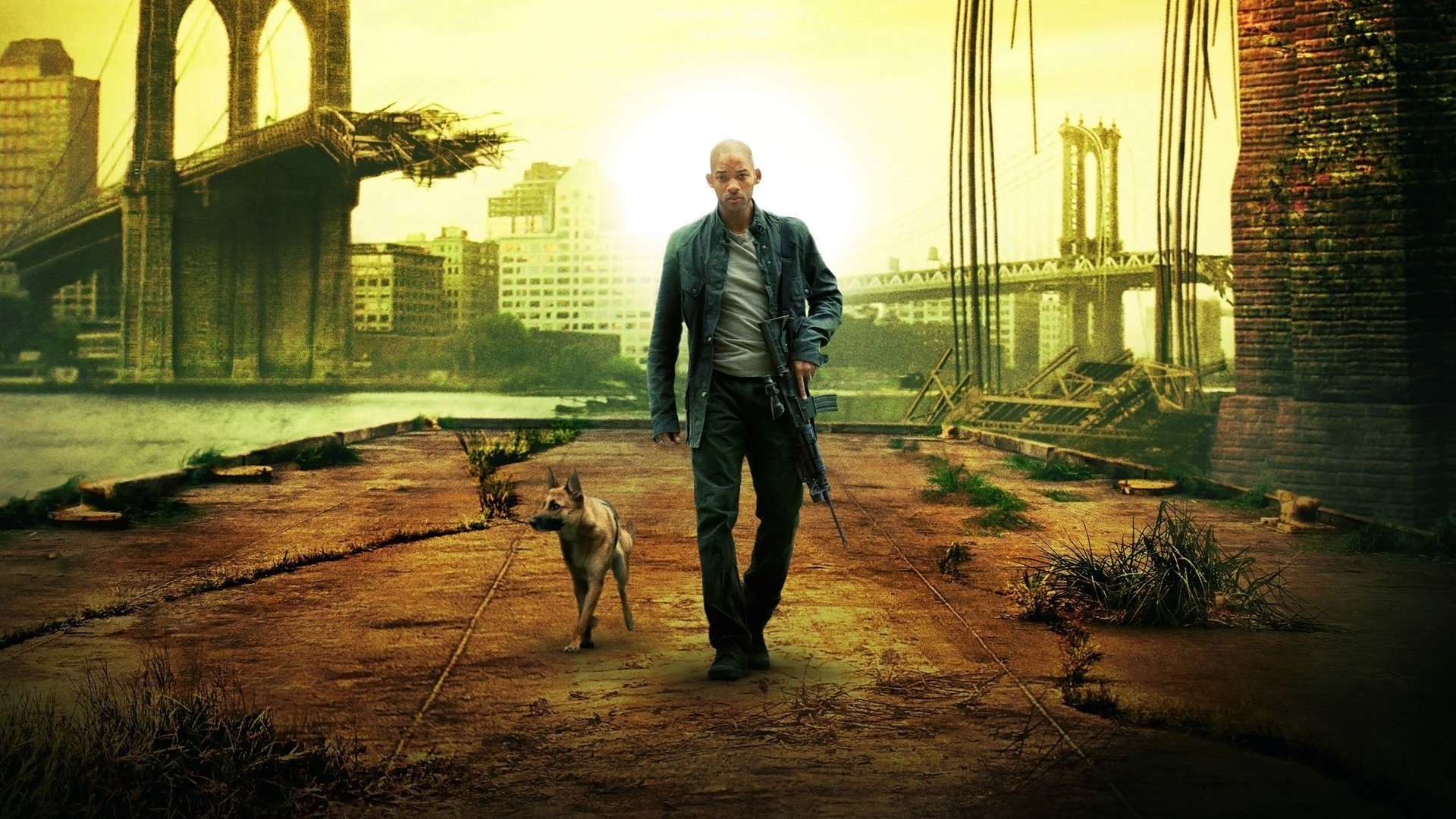 Am Legend Wallpaper Hd - HD Wallpaper 