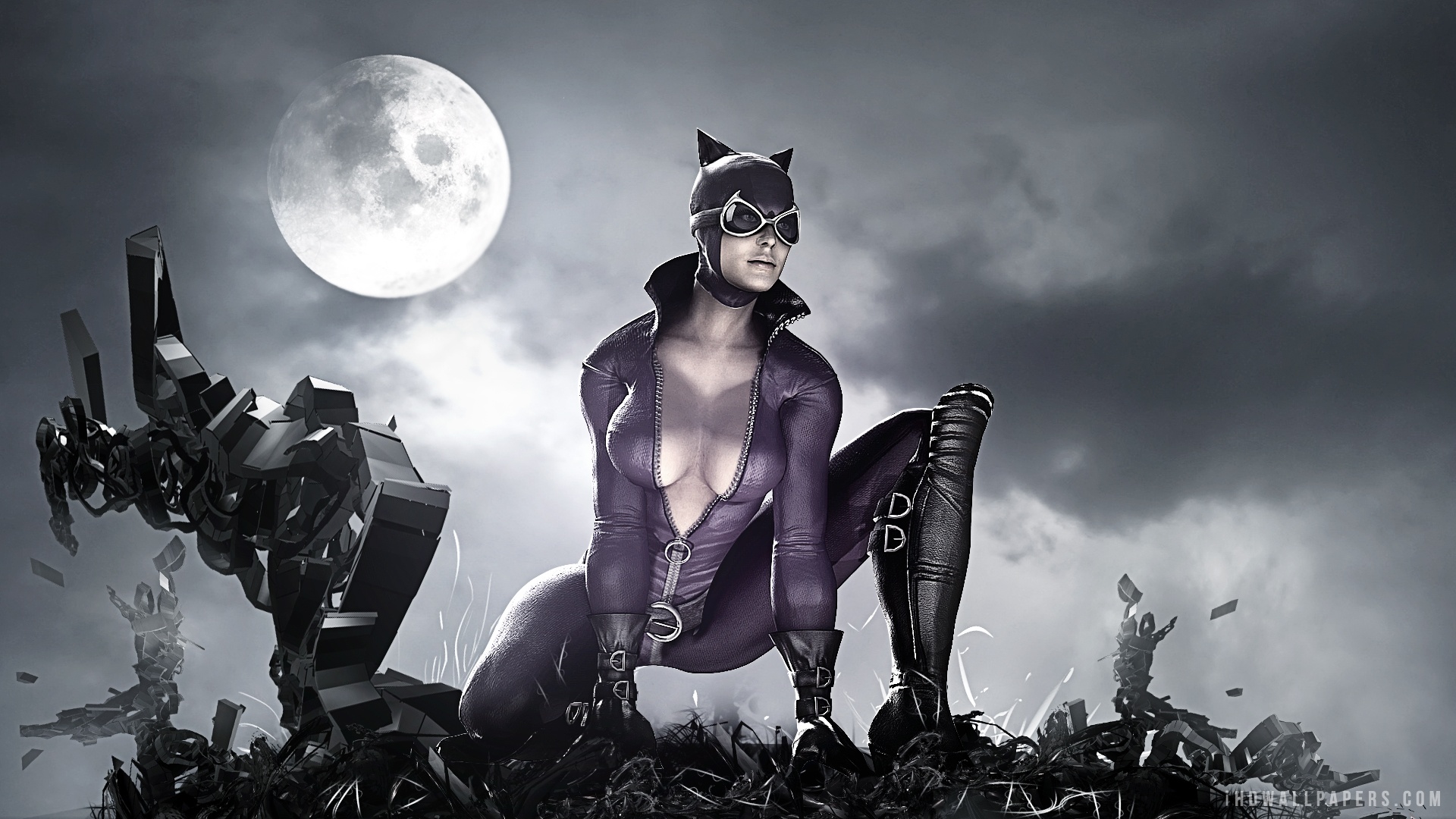 Batman Arkham City Catwoman - HD Wallpaper 