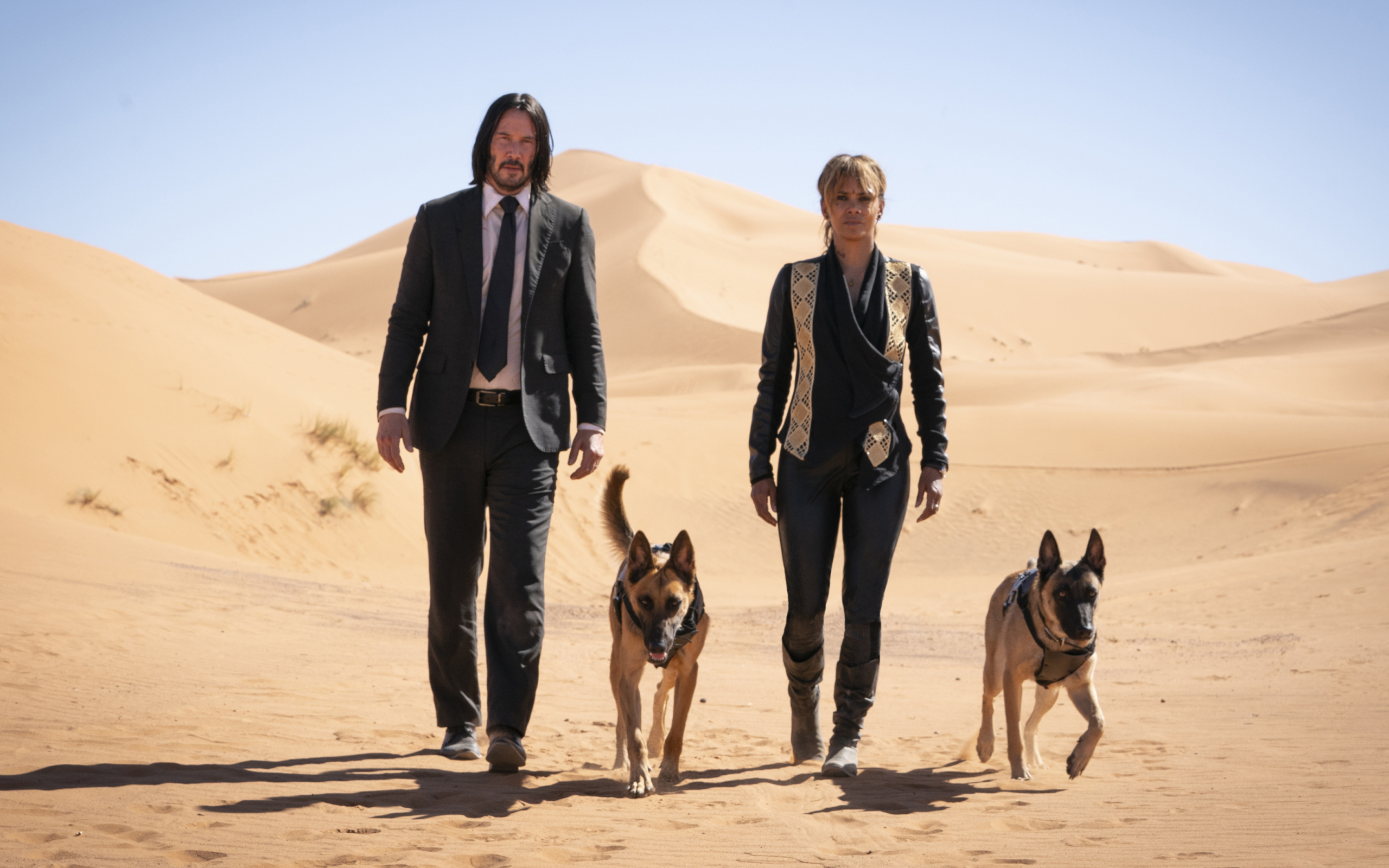 Wallpaper Of Halle Berry, John Wick, John Wick 3, Keanu - John Wick Chapter 3 Parabellum - HD Wallpaper 