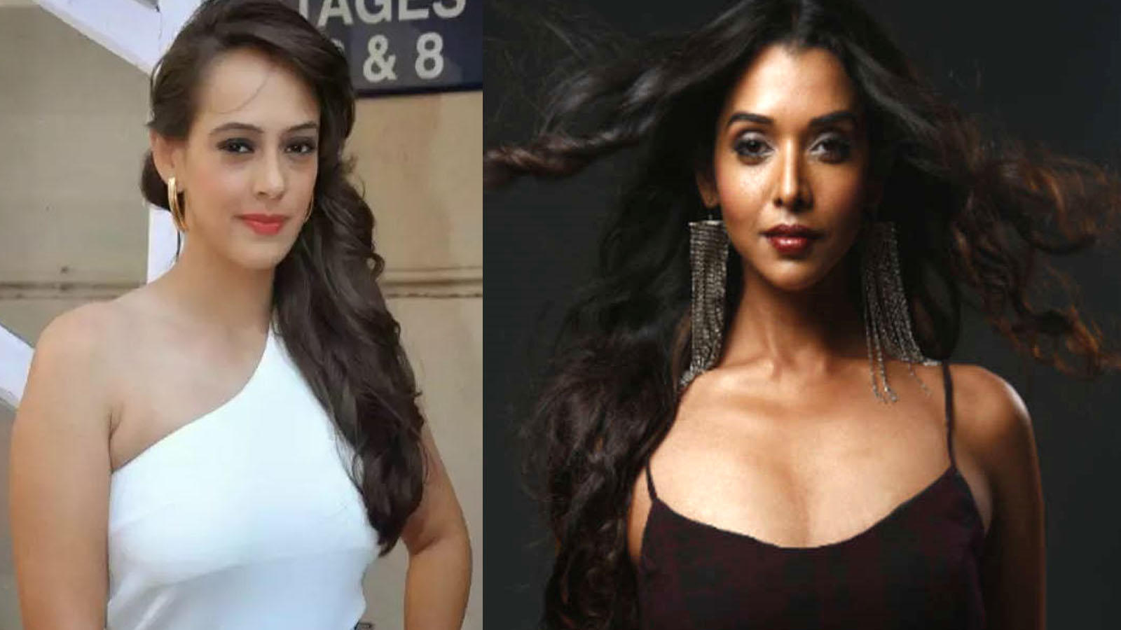 Anupriya Goenka Tiger Zinda Hai - HD Wallpaper 