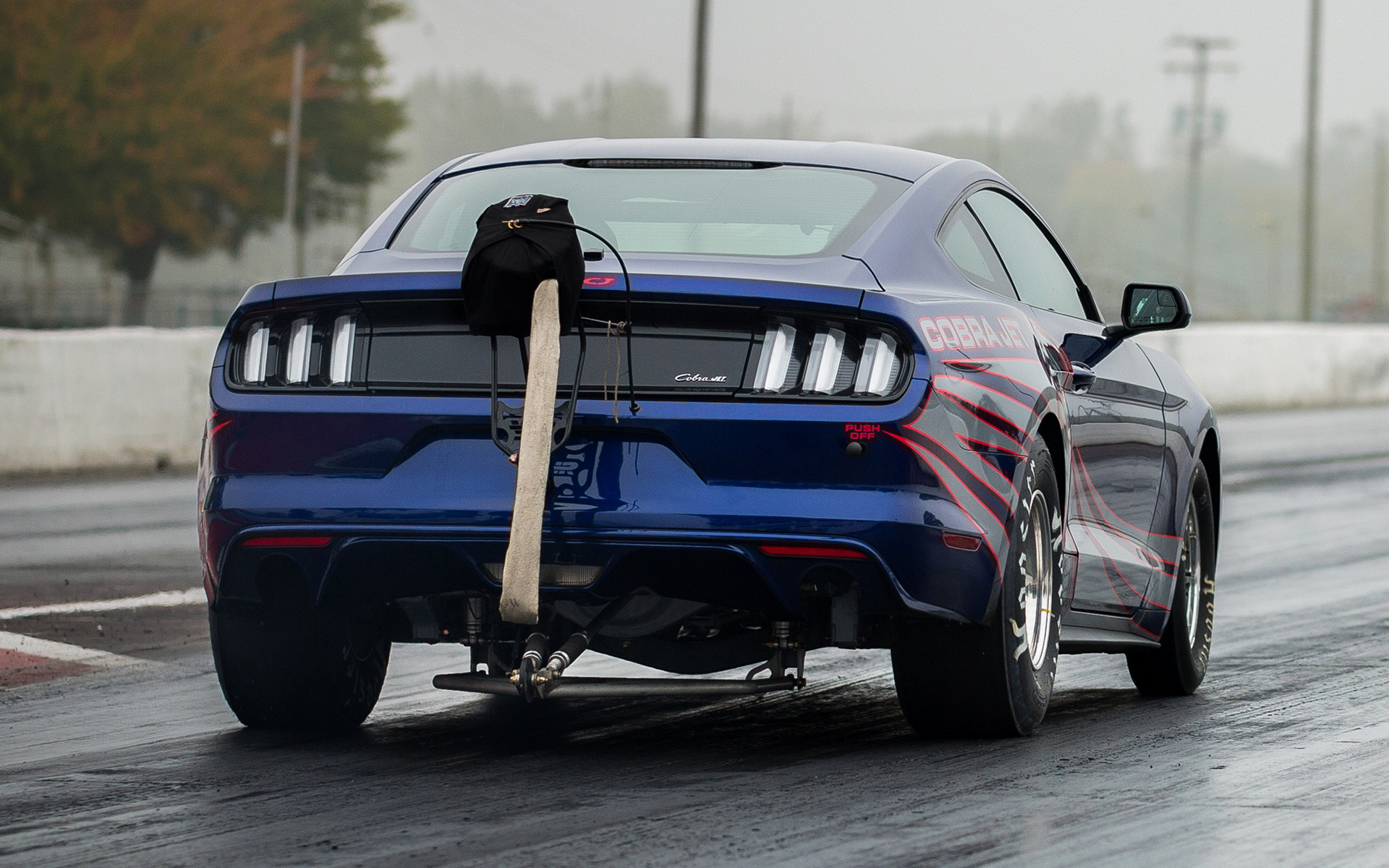 Drag Mustang 2015 Cobra Jet - HD Wallpaper 