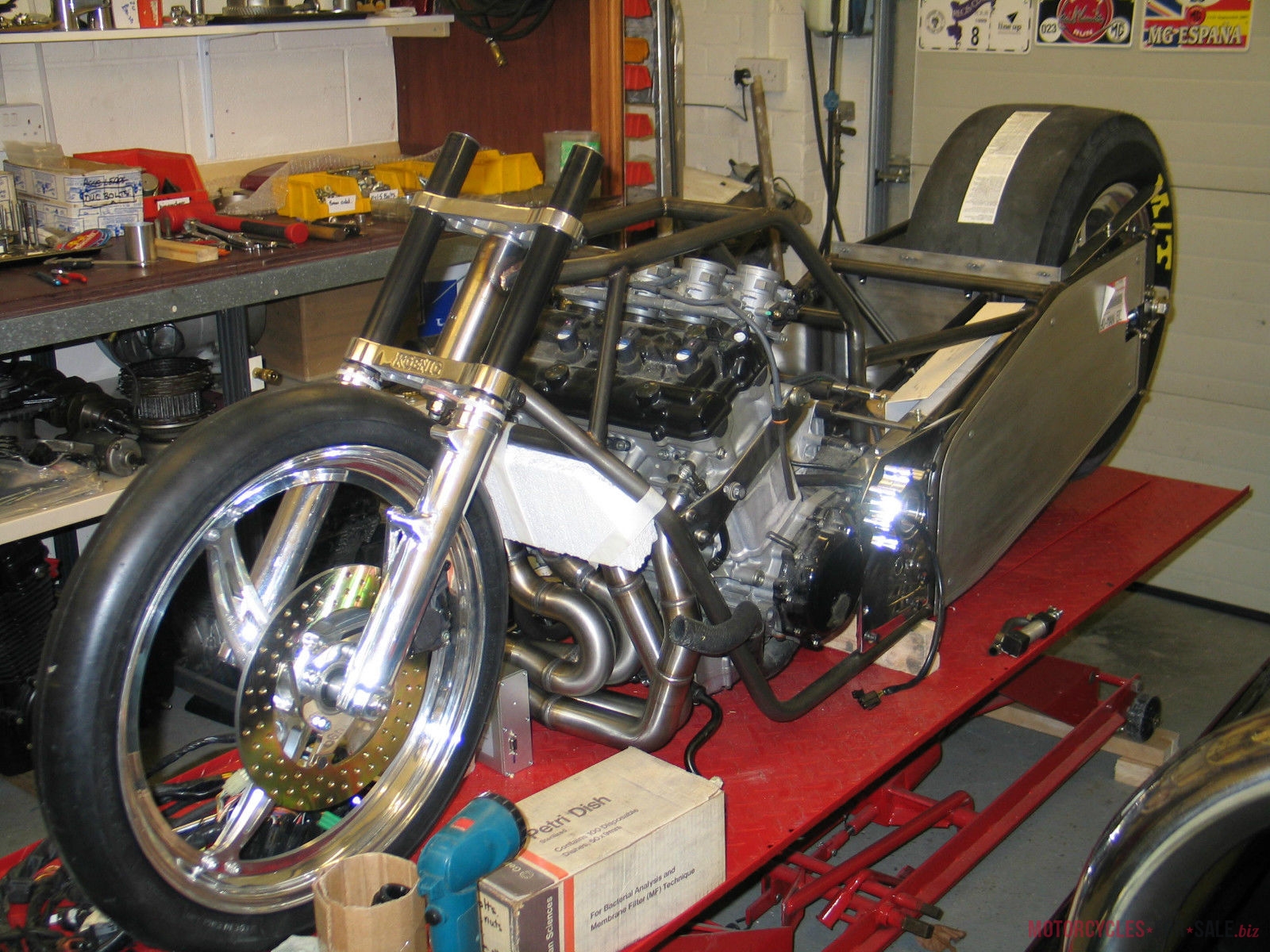 Chopper - HD Wallpaper 