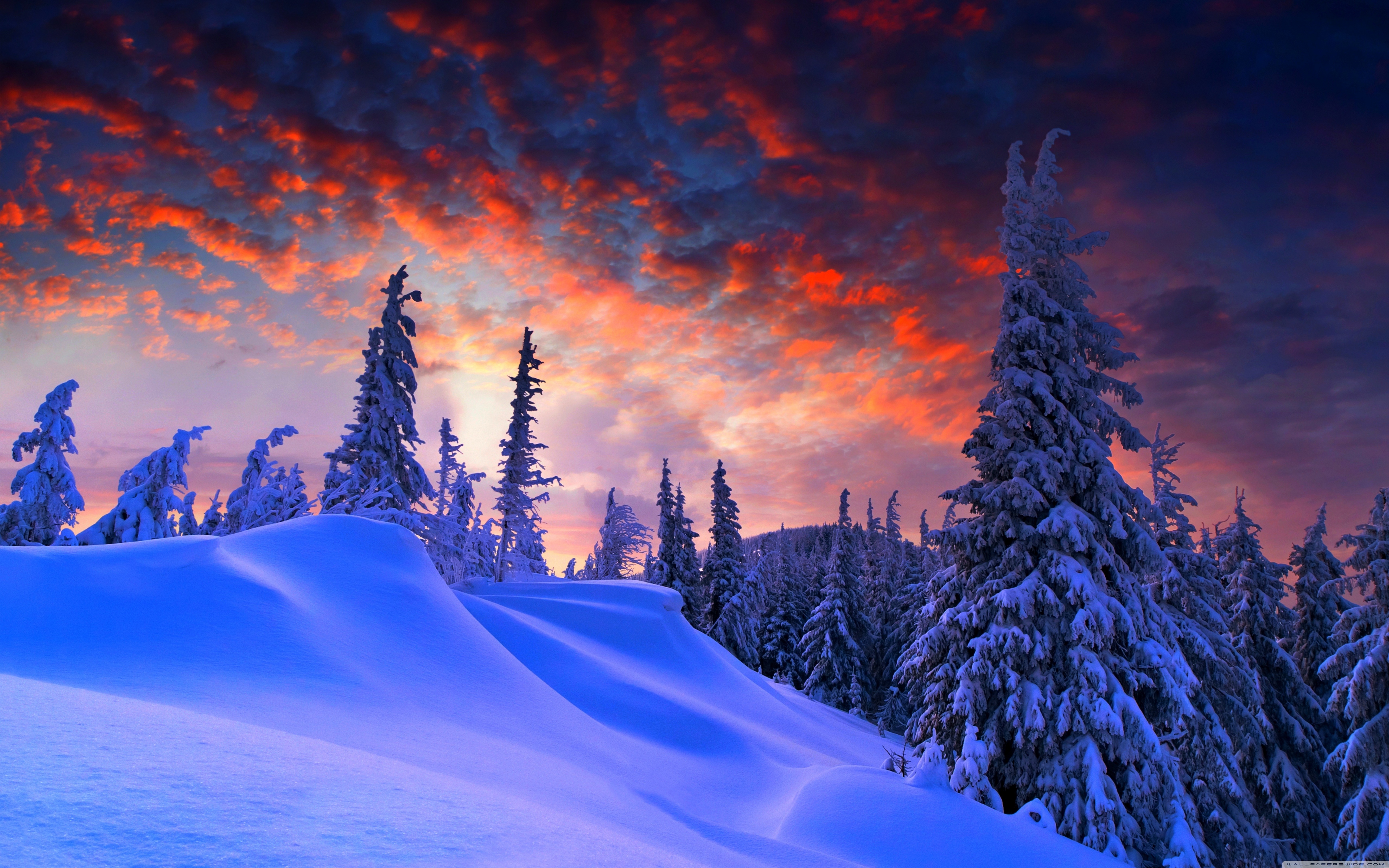 https://www.teahub.io/photos/full/206-2062869_winter-computer-backgrounds.jpg