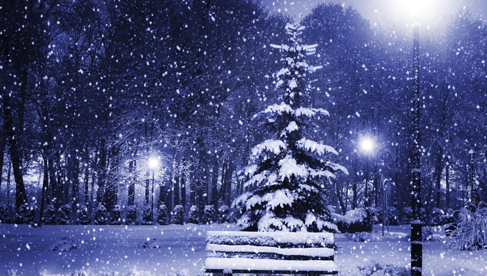 New Year, Snow, Magic Christmas Night, Christmas Tree, - Snow Christmas Desktop Backgrounds - HD Wallpaper 