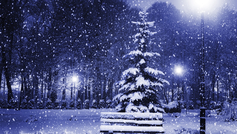 New Year, Snow, Magic Christmas Night, Christmas Tree, - Snow Christmas  Desktop Backgrounds - 970x550 Wallpaper 