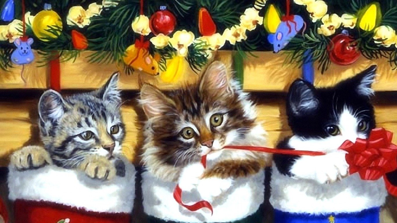 Download Hd Christmas Desktop Wallpaper Id - Christmas Cats And Kittens - HD Wallpaper 