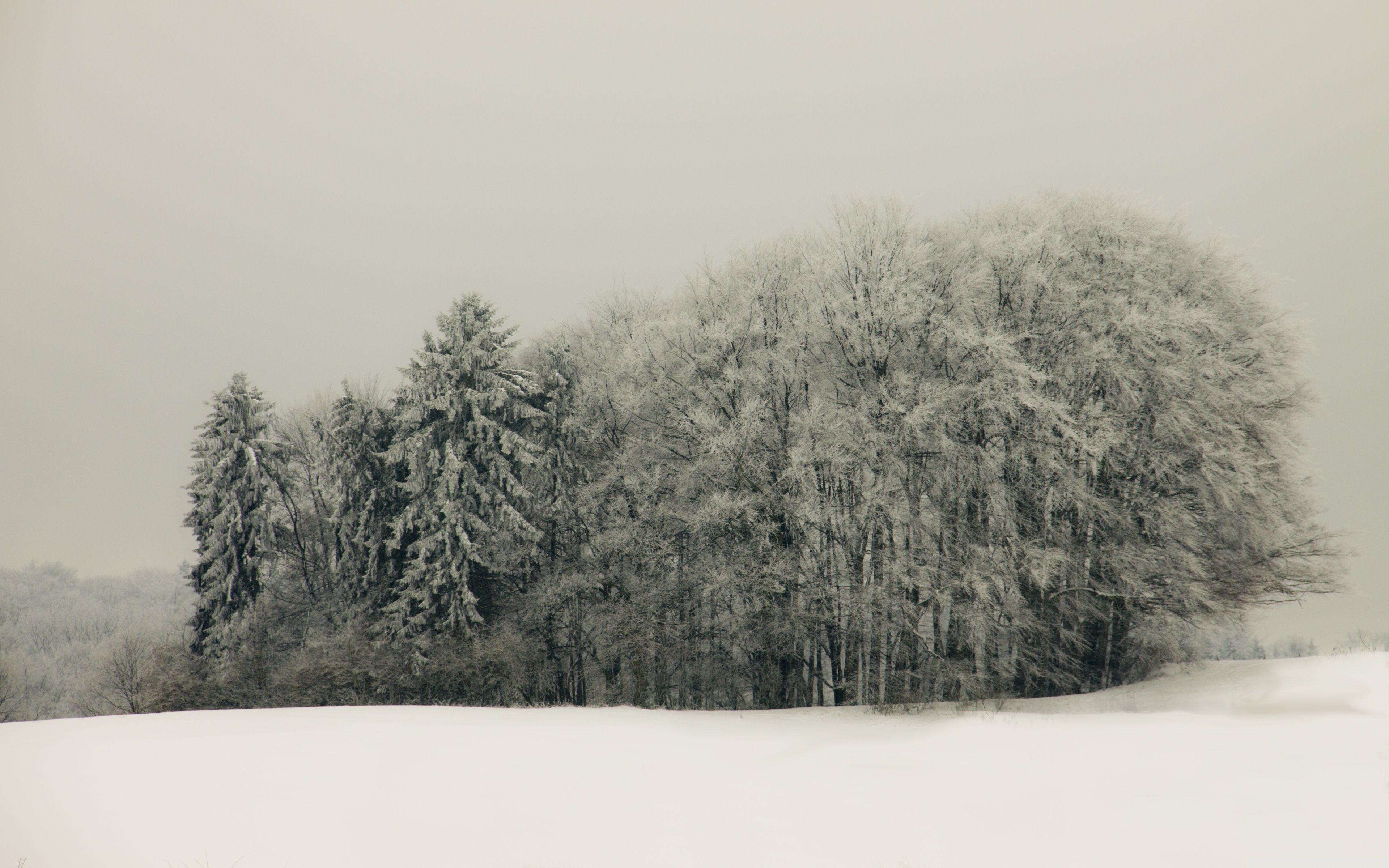 White Christmas Wallpaper - HD Wallpaper 