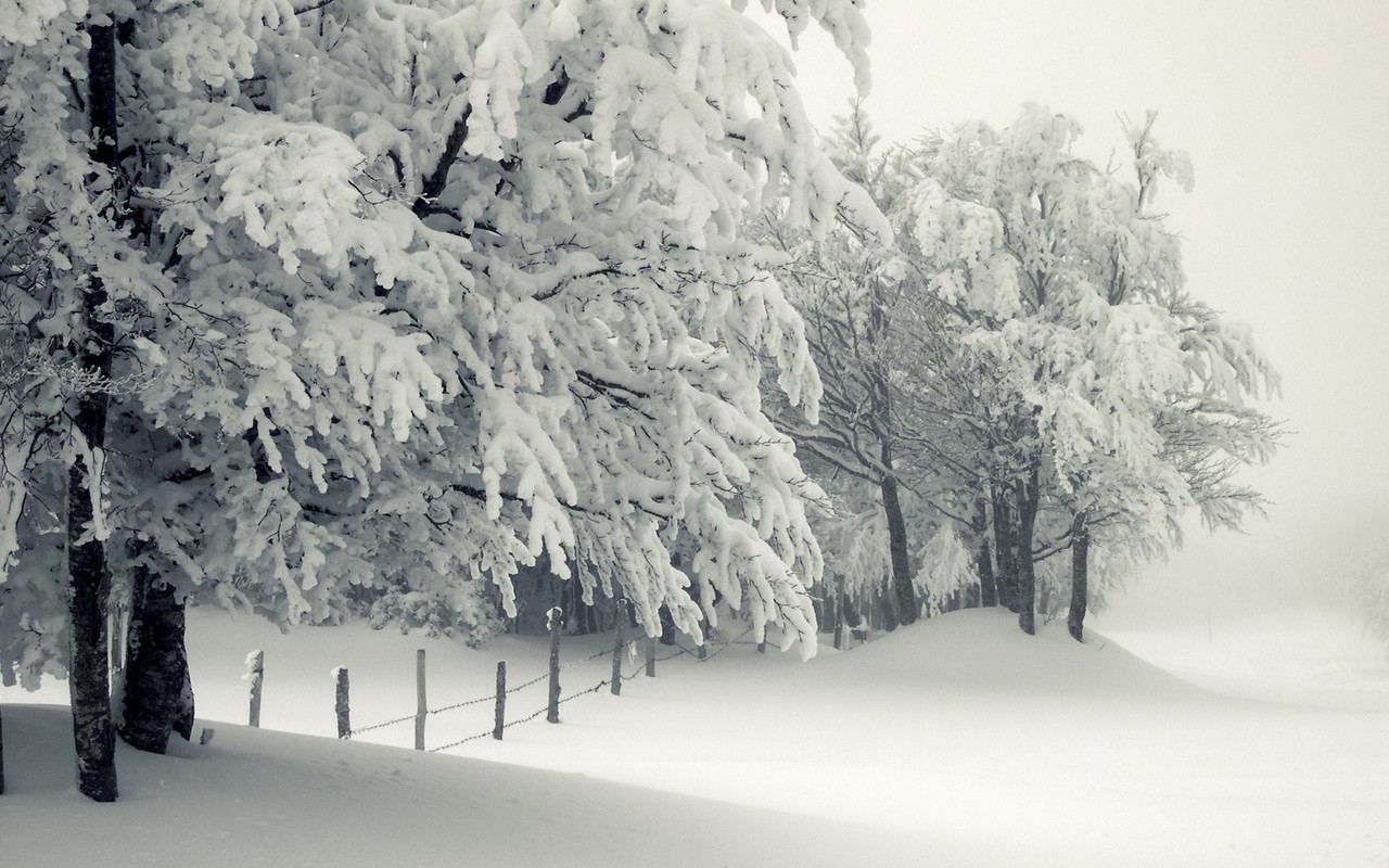 Snow And Winter Image - Snowy Hd - HD Wallpaper 