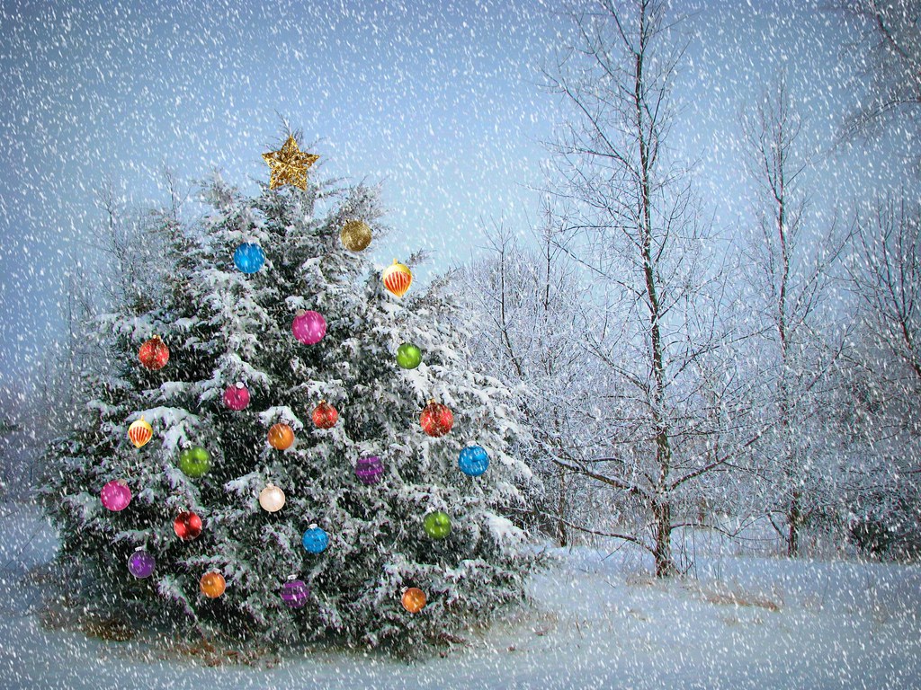 Christmas Tree - HD Wallpaper 