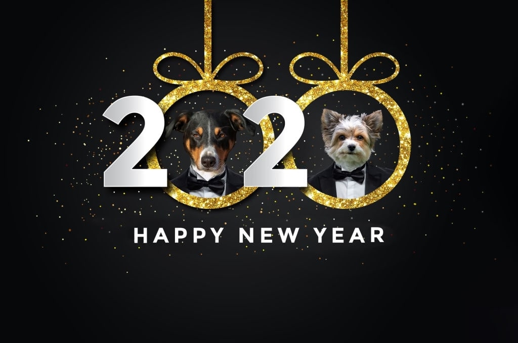 Dog New Year 2020 - HD Wallpaper 