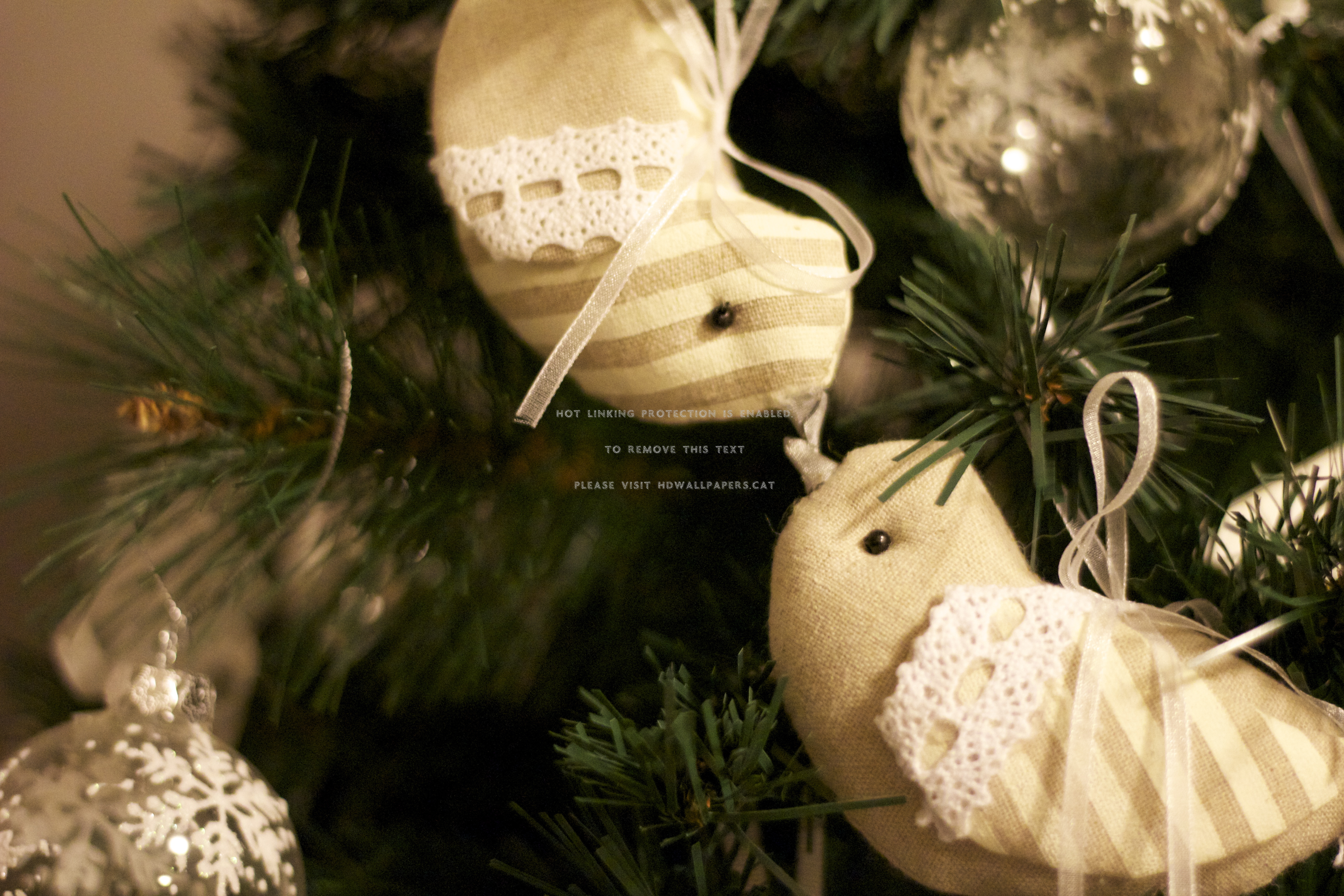 Christmas Love Birds Time Nature Together - Christmas Tree - HD Wallpaper 