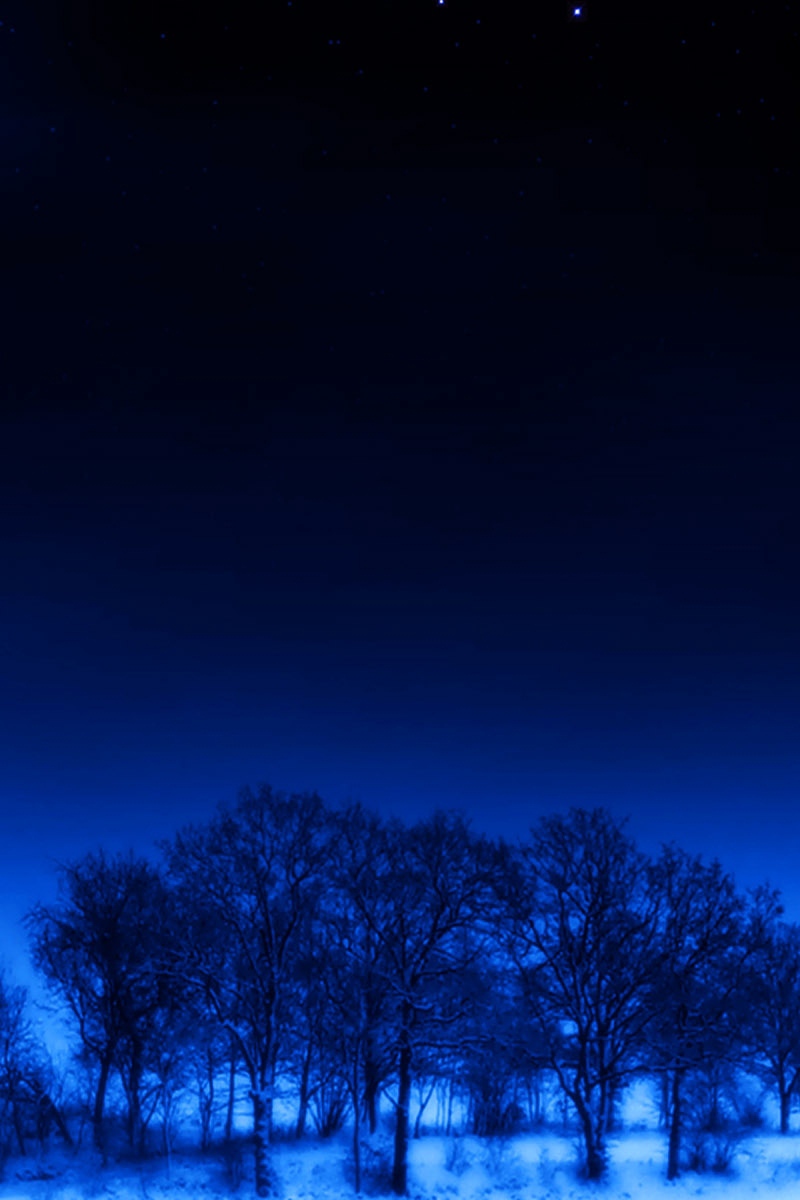 Wallpaper Night, Moon, Trees, Stars, Dream - Night Winter Scene Desktop Background - HD Wallpaper 