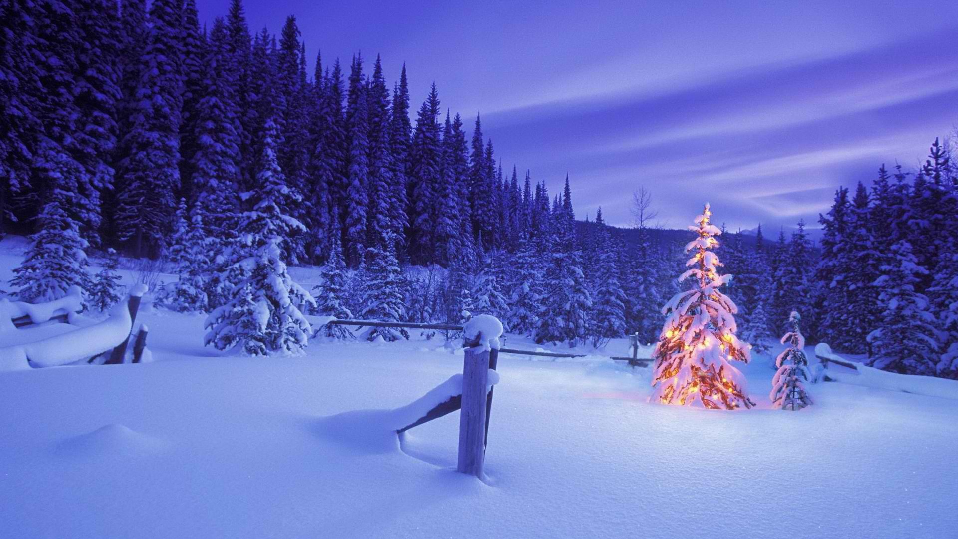 Free Christmas Wallpaper Nice Christmas Images Gzhaixier - Christmas In The Forest - HD Wallpaper 