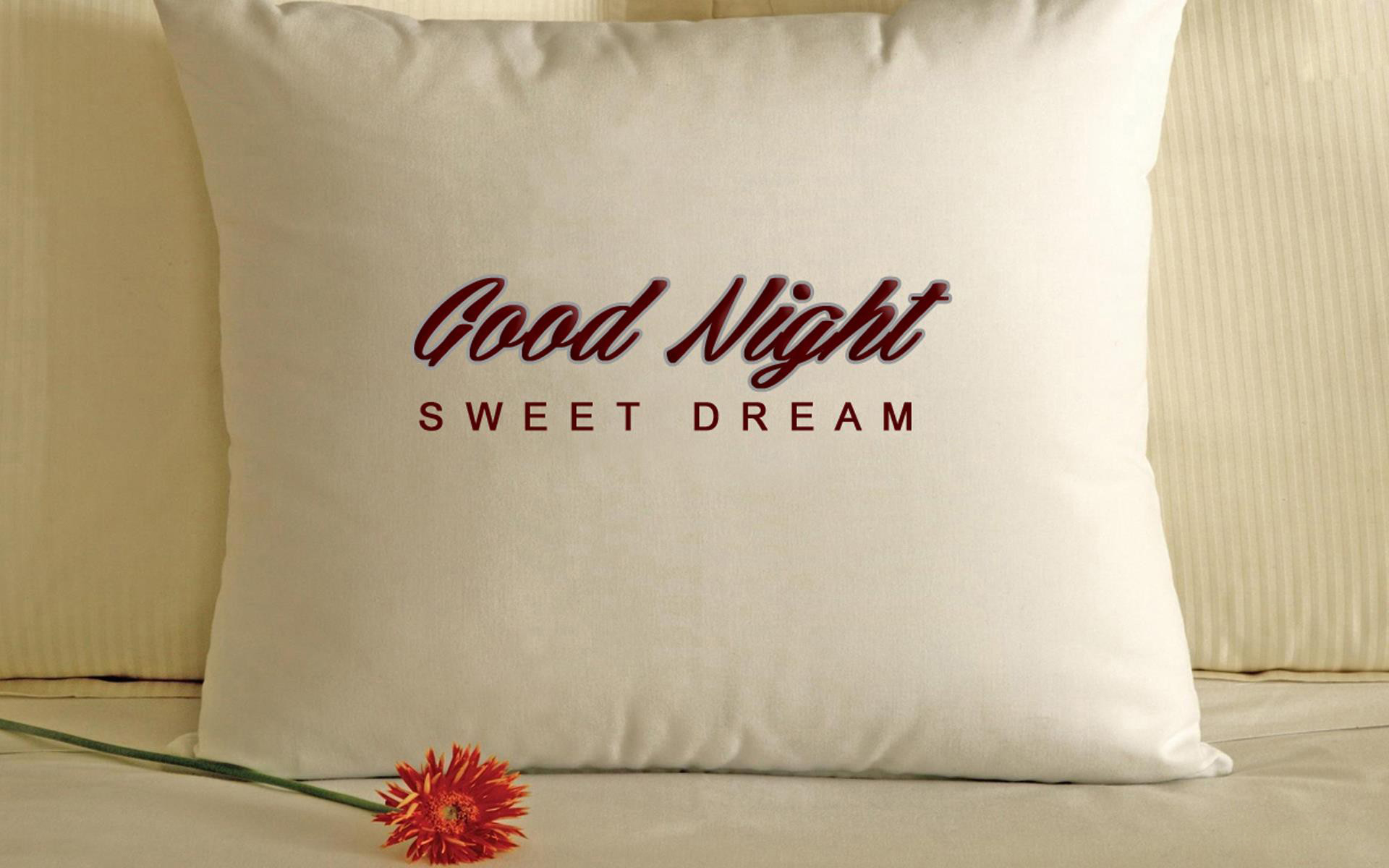 Good Night Sweet Dream Wallpapers And Backgrounds - Whatsapp Good Night Messages Download - HD Wallpaper 