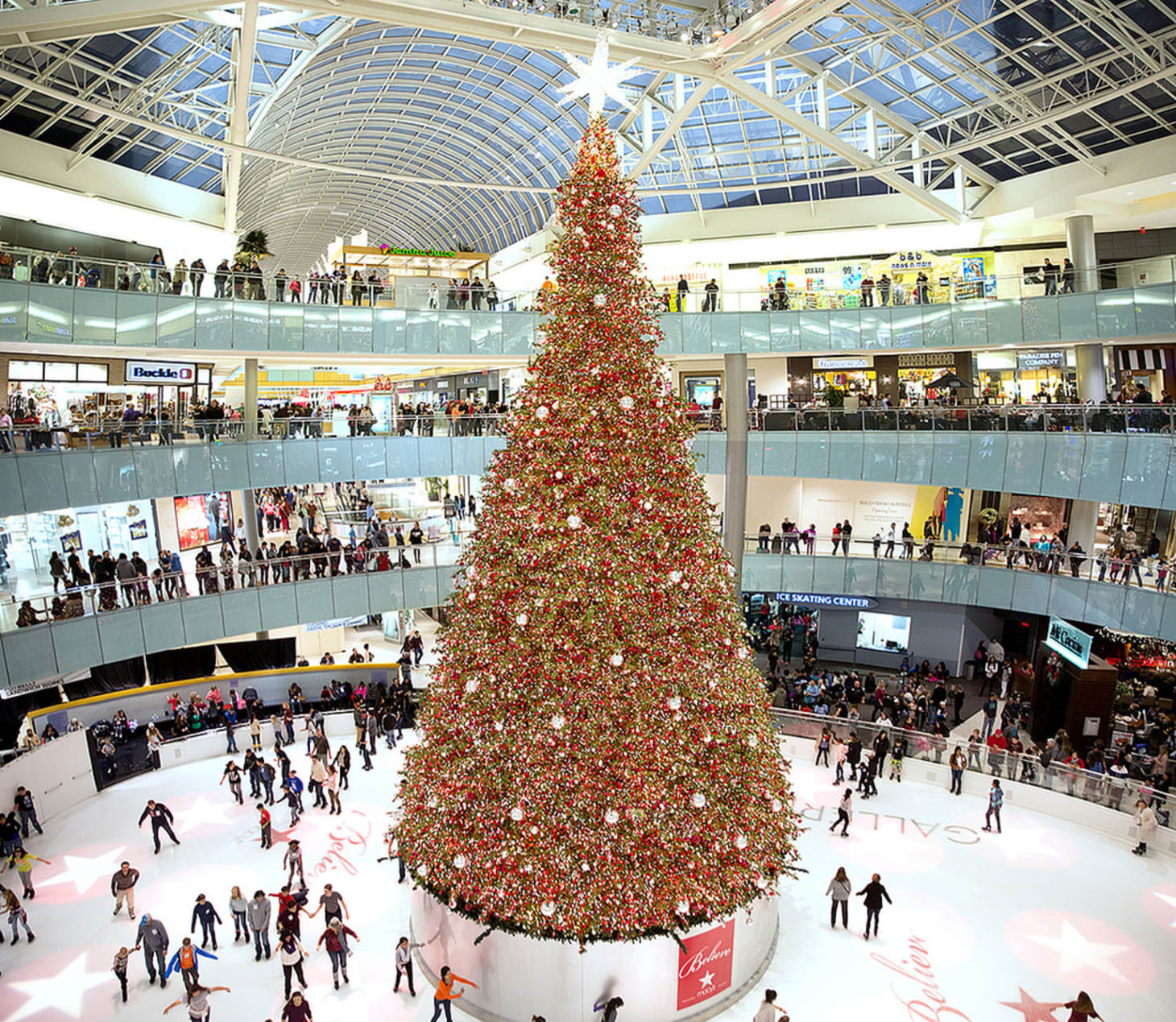 Christmas Tree - HD Wallpaper 