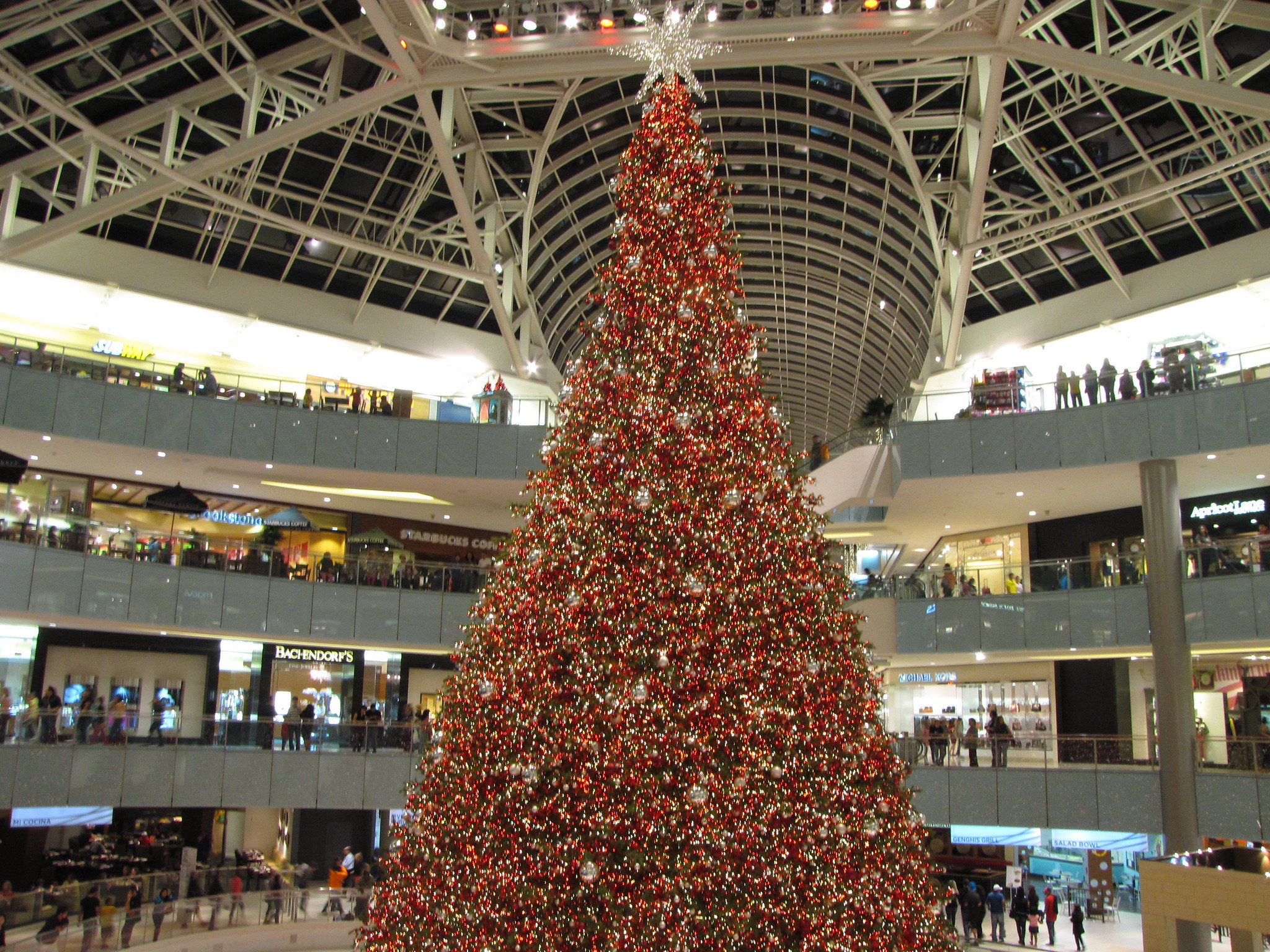 Christmas Tree - HD Wallpaper 