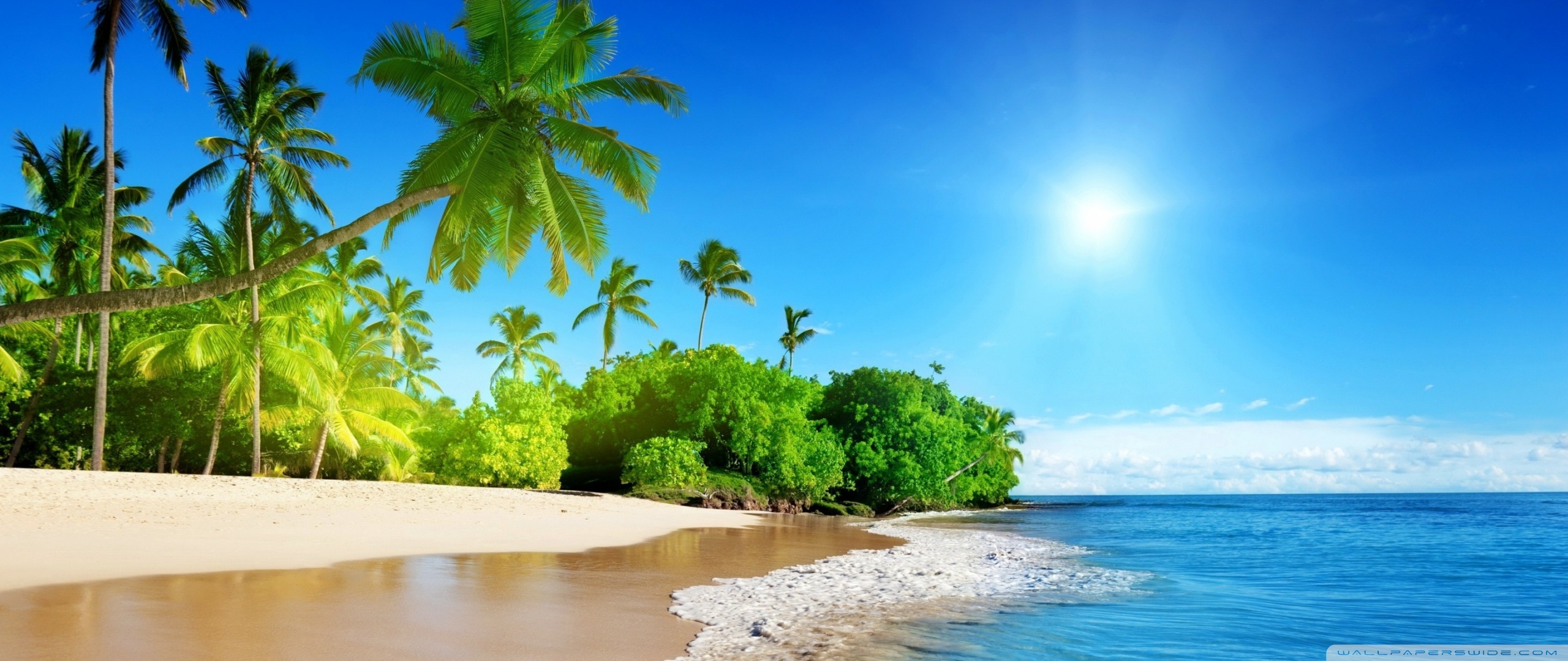 Hawaiian Beach Background - HD Wallpaper 