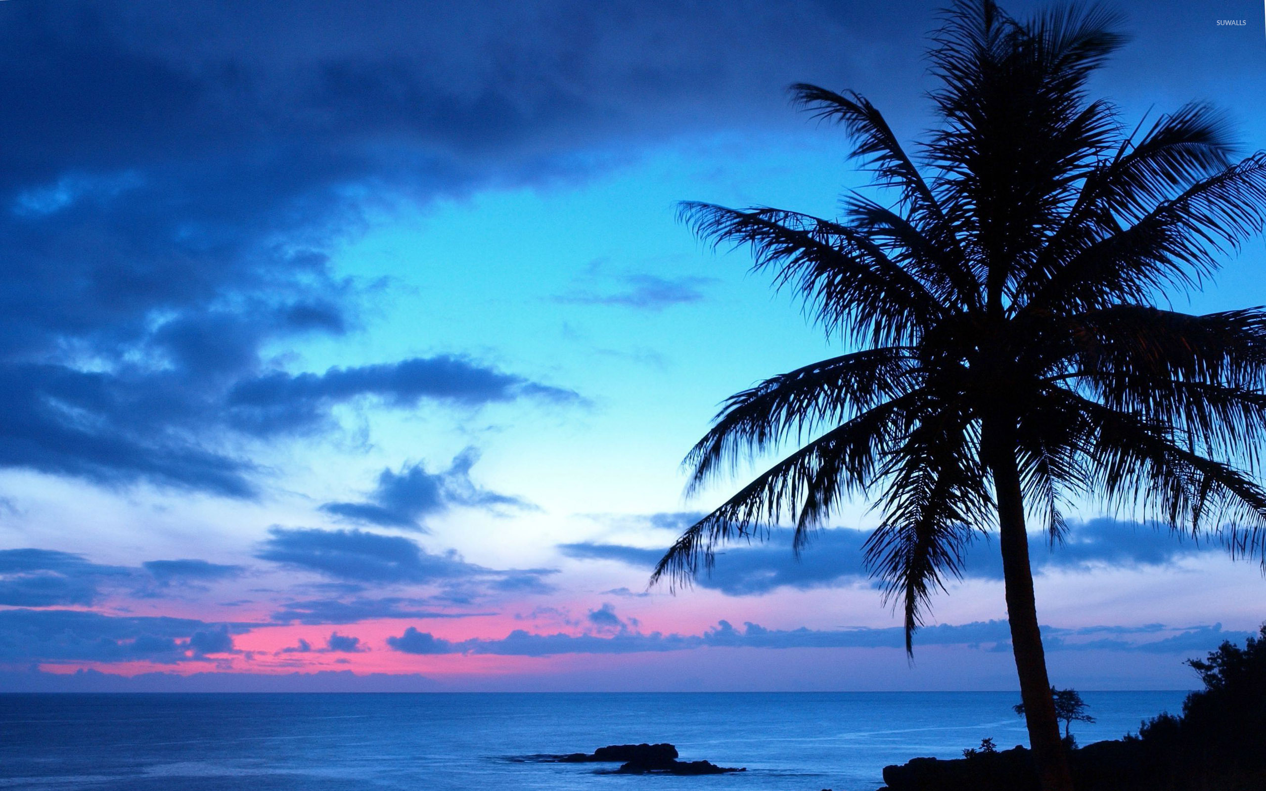 Beach Sunset Wallpaper Blue 2560x1600 Wallpaper Teahub Io