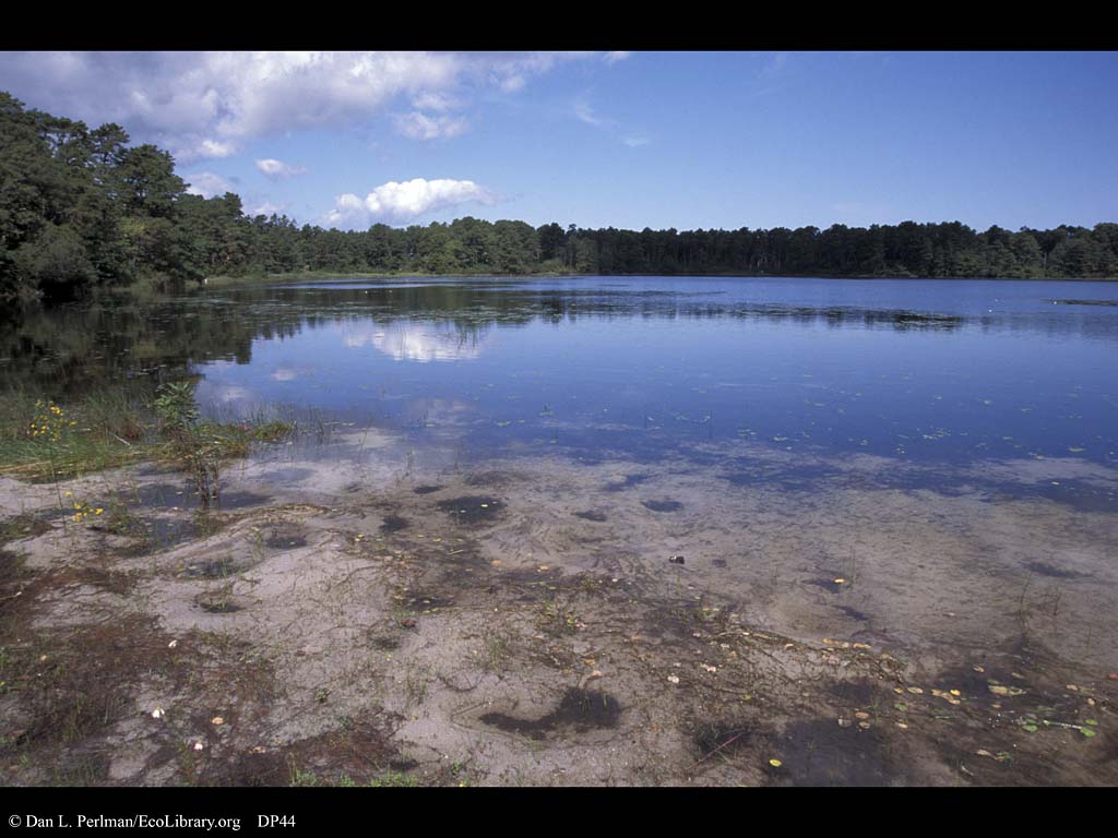 Reflection - HD Wallpaper 