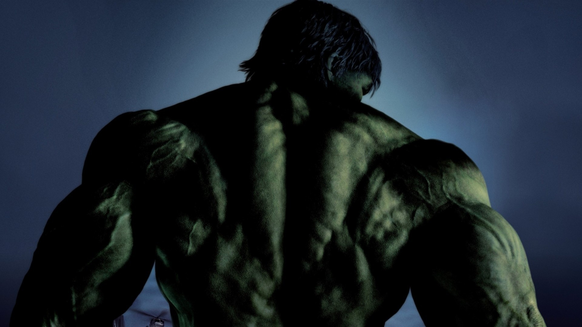 Incredible Hulk Back - HD Wallpaper 