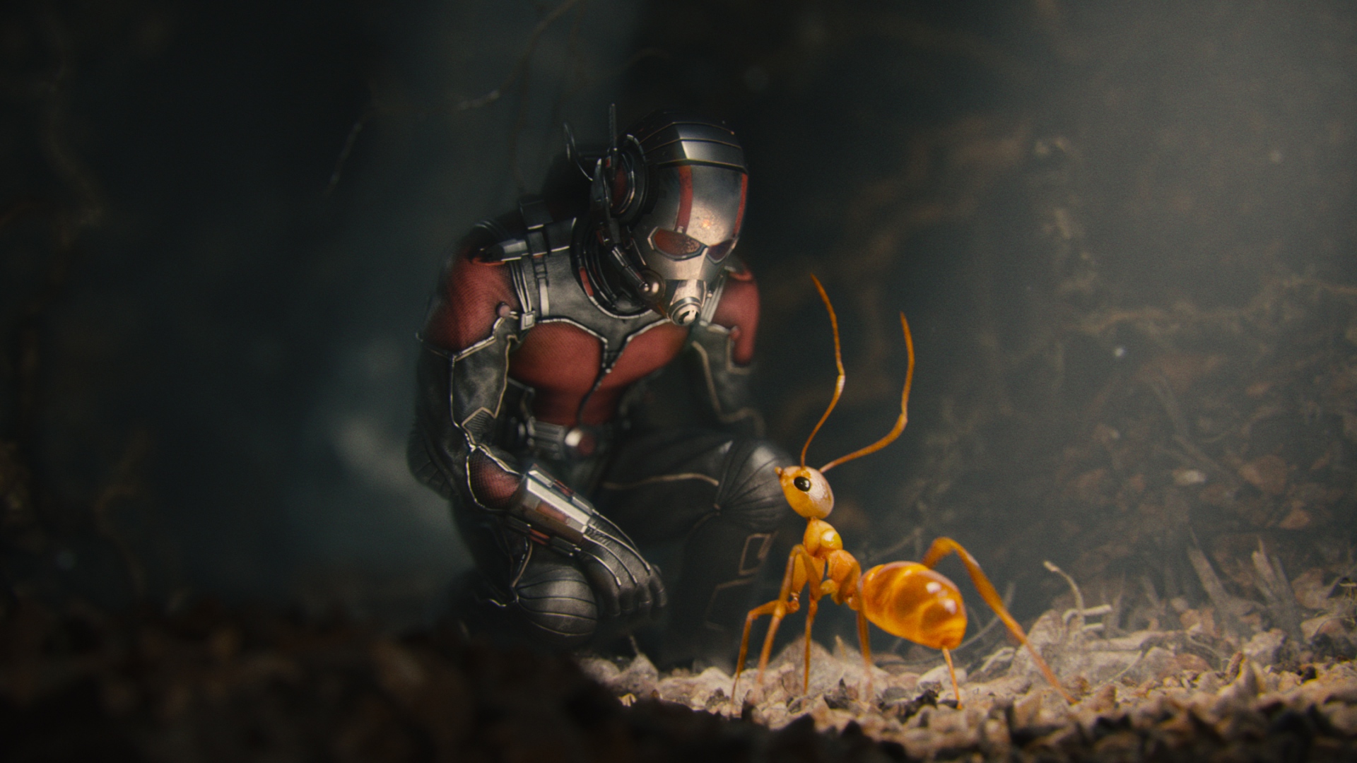 Ant Man And Ant - HD Wallpaper 