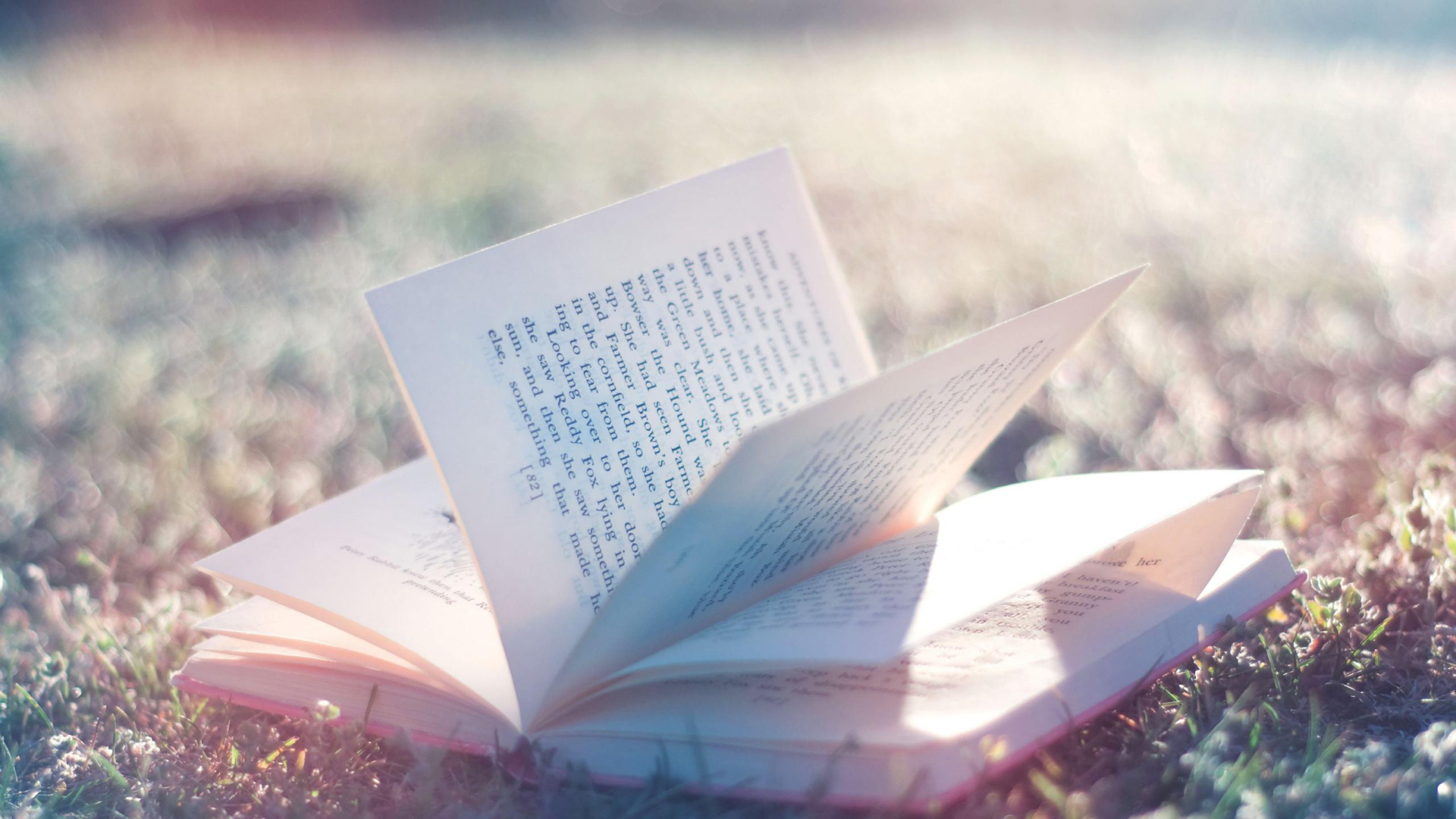 Free Book Wallpaper - HD Wallpaper 