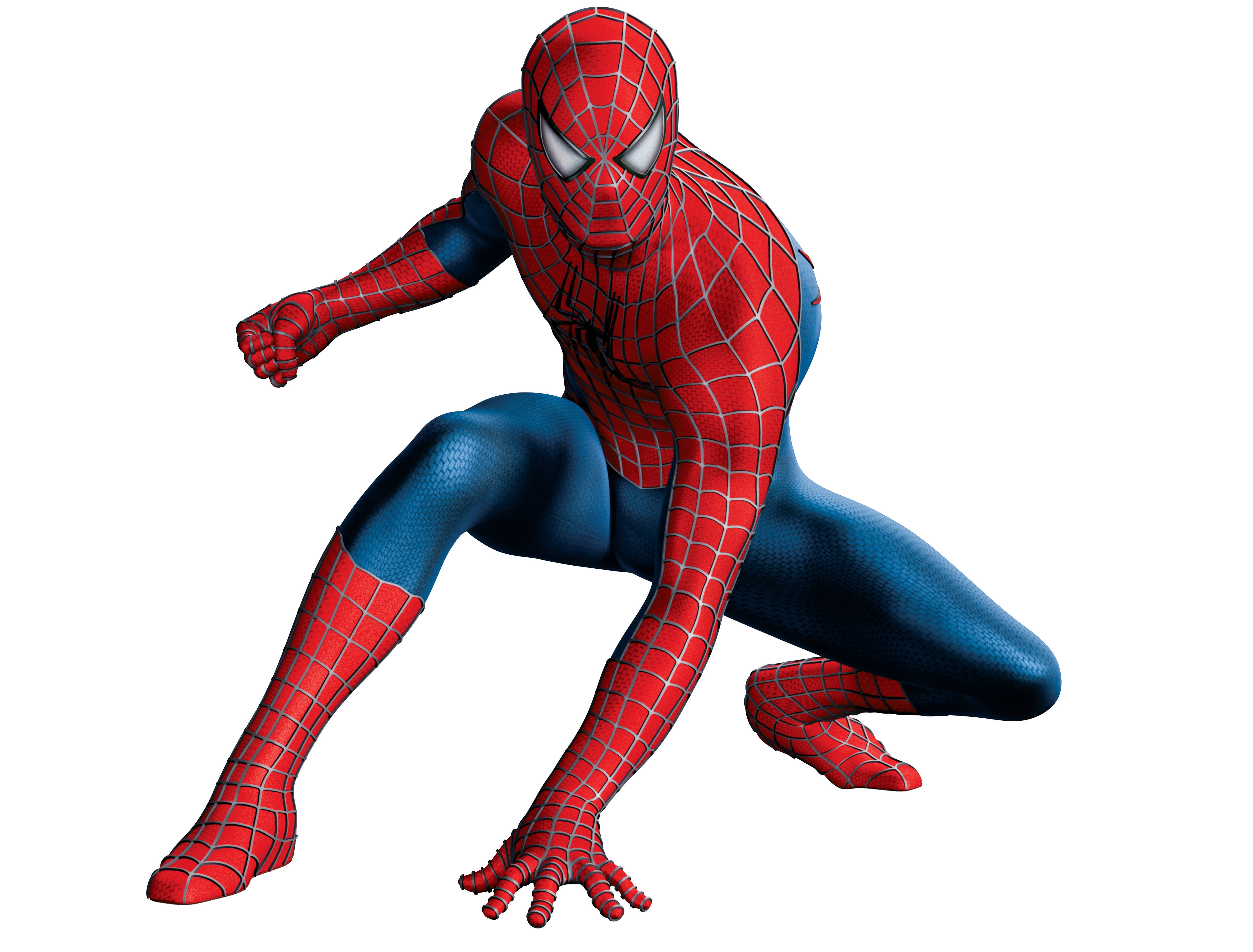 Spiderman Hd Image Wallpaper Free - Spider Man White Background