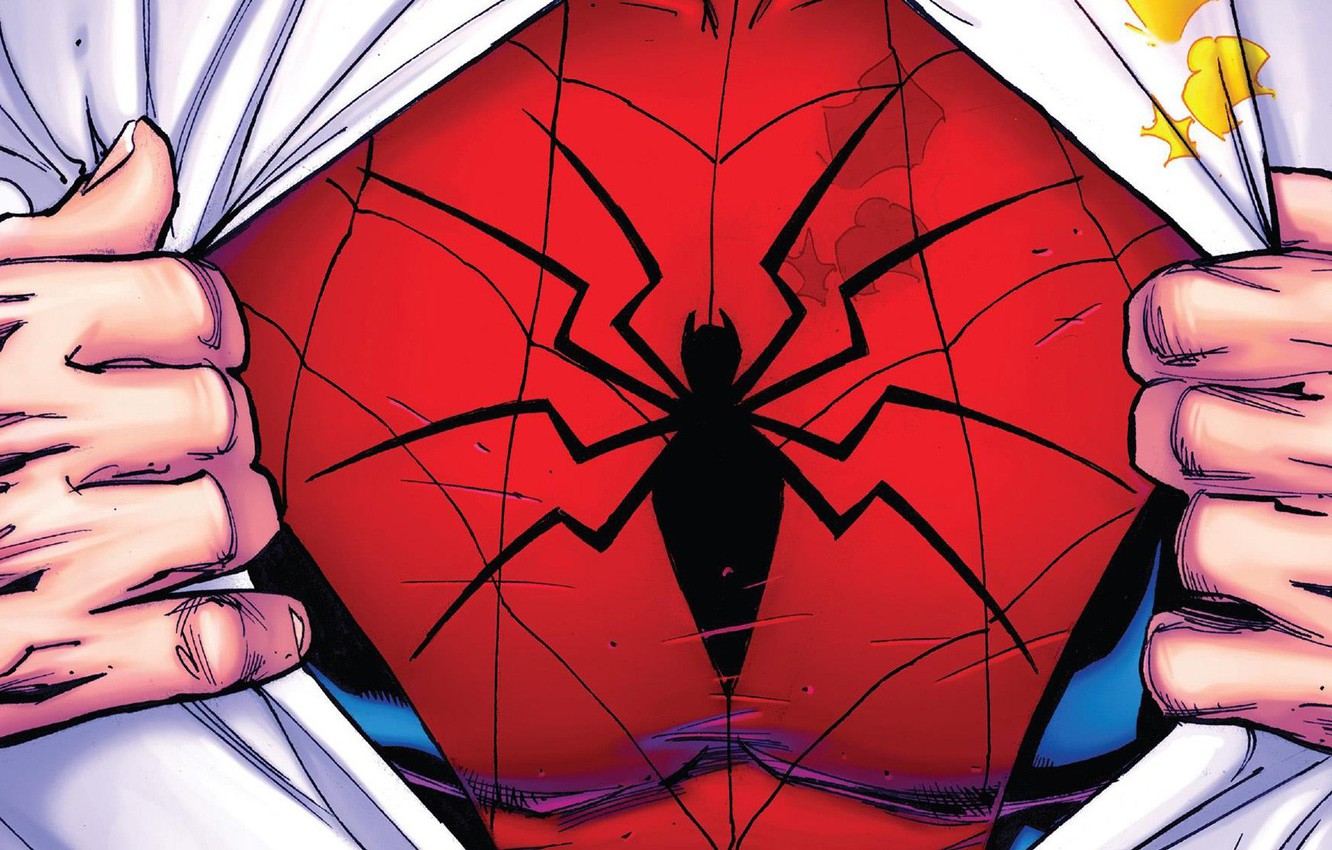 Photo Wallpaper Spider, Costume, Hero, Comic, Superhero, - Comic Peter Parker Spiderman - HD Wallpaper 