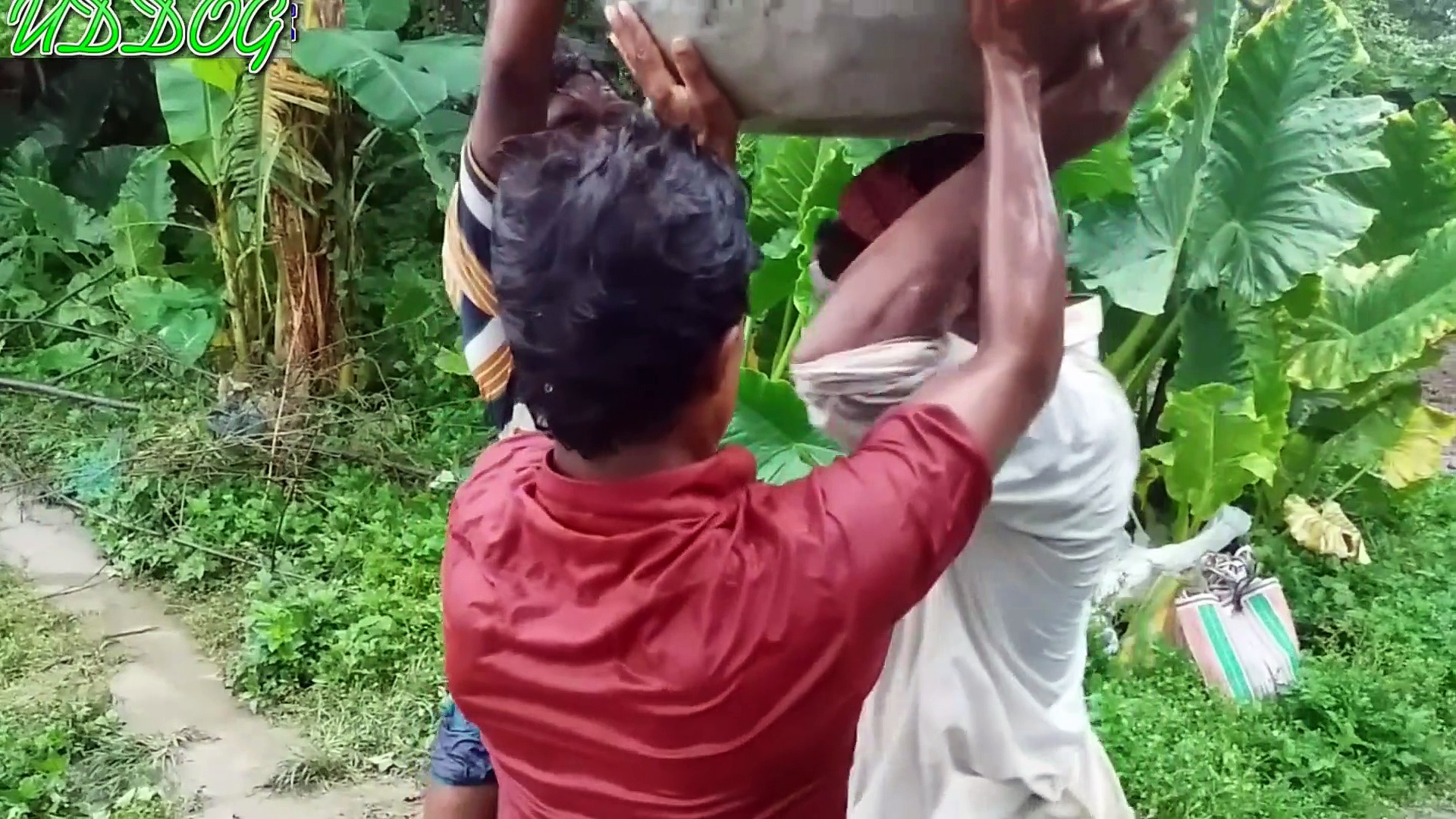 Plantation - HD Wallpaper 