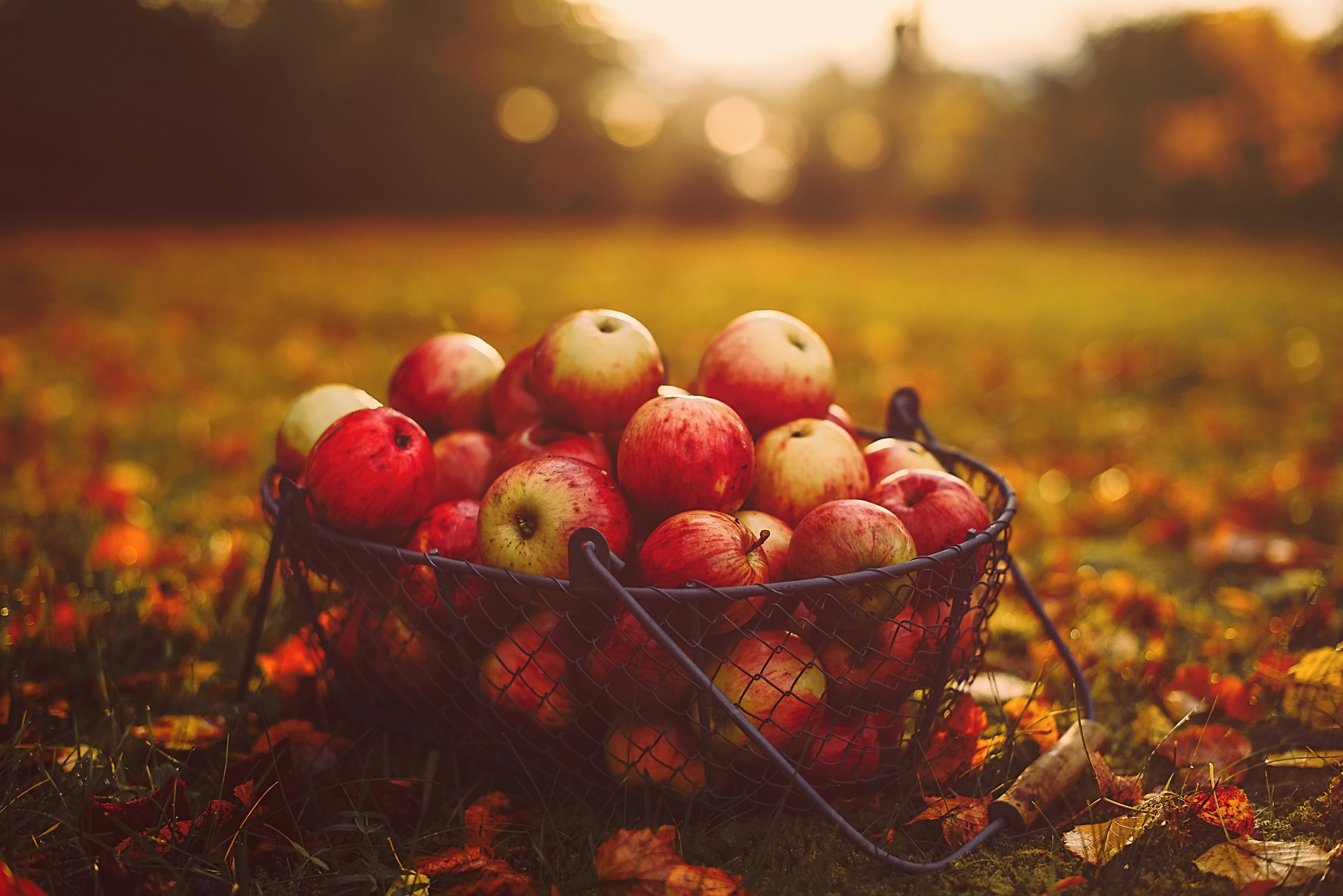 Apple 5k Wallpaper - HD Wallpaper 