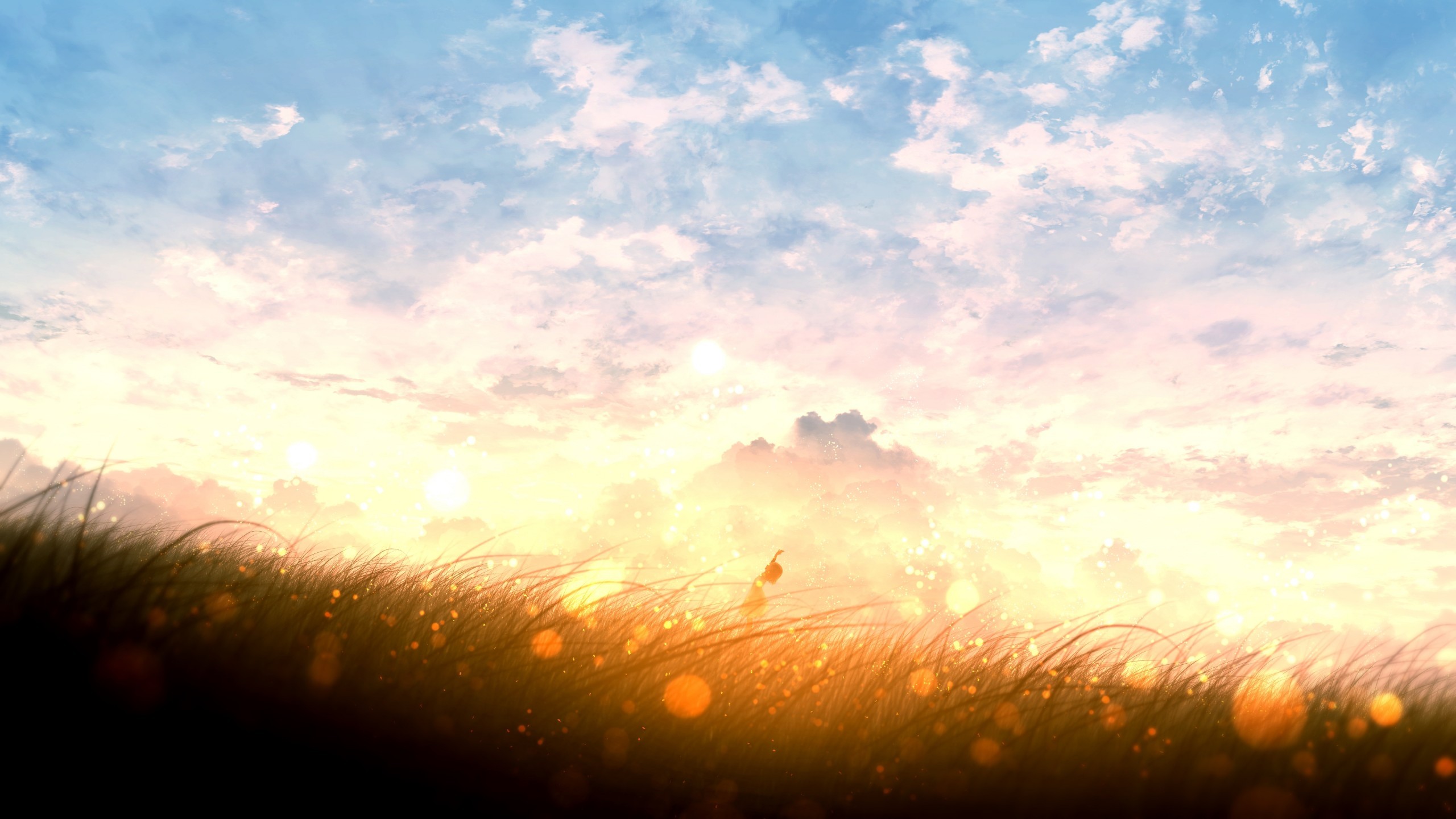 Anime Landscape, Sunset, Bokeh, Field, Clouds, Plants, - HD Wallpaper 