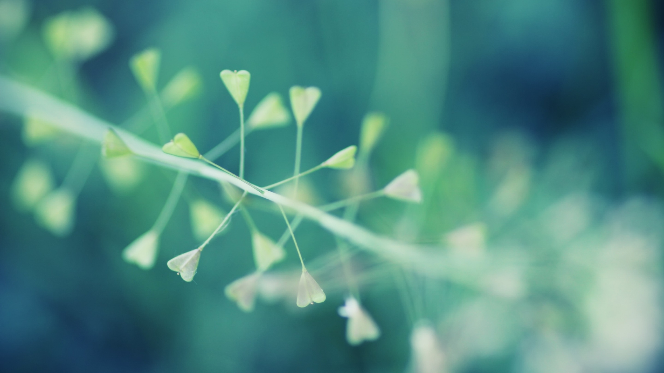 Minimalist Wallpaper Hd Nature - HD Wallpaper 