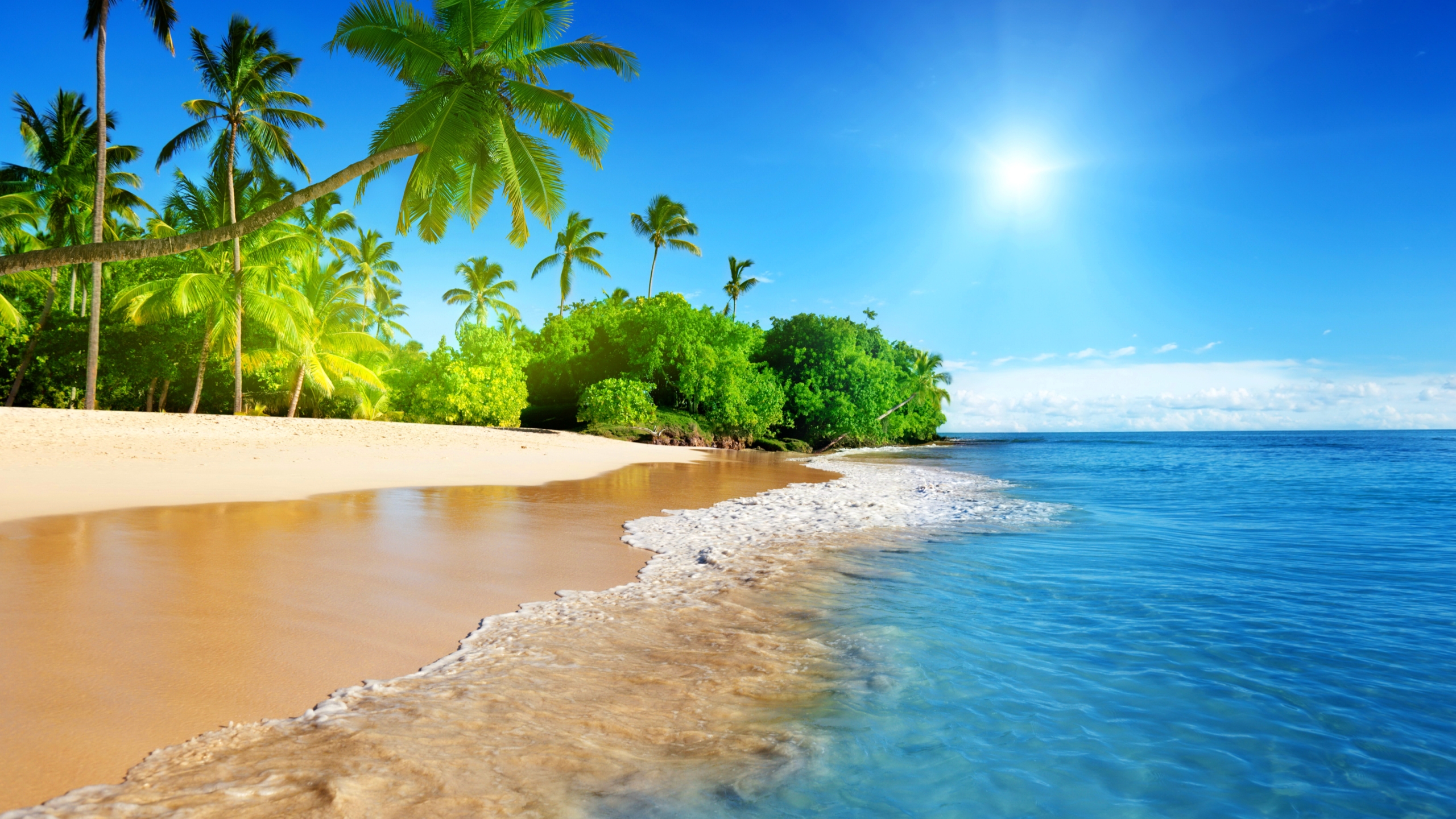 Beach Background - HD Wallpaper 