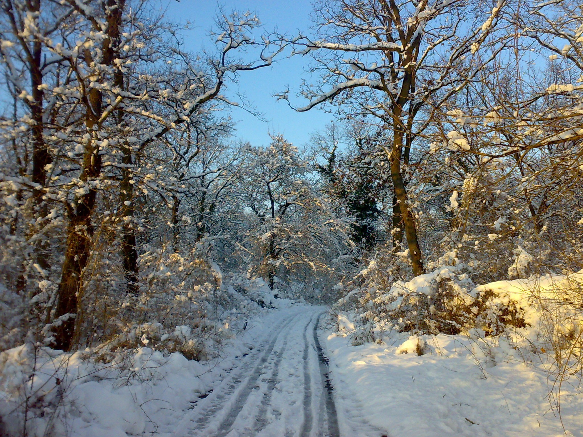 Winter Snow Road Free Hd - HD Wallpaper 
