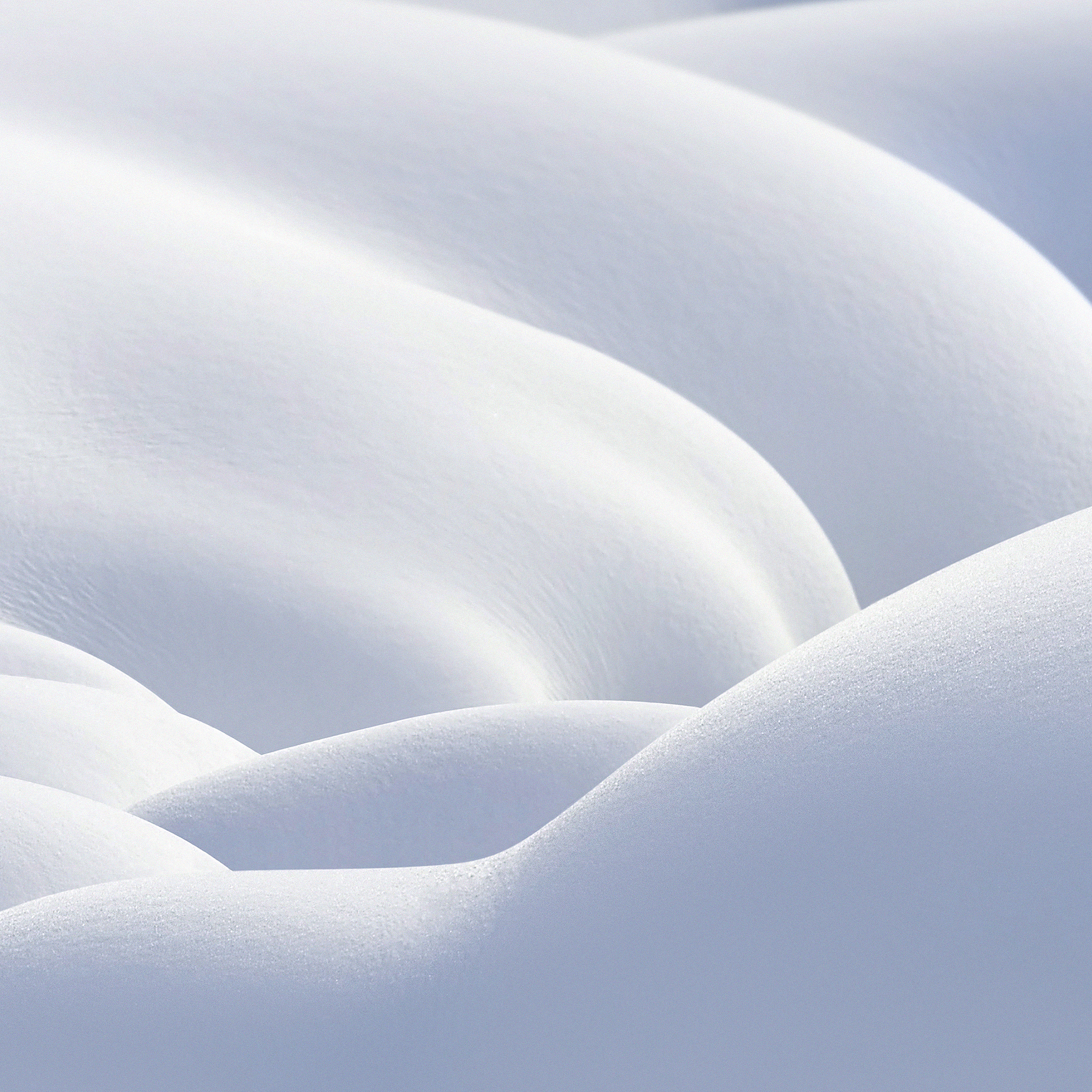 Untouched Snow - HD Wallpaper 