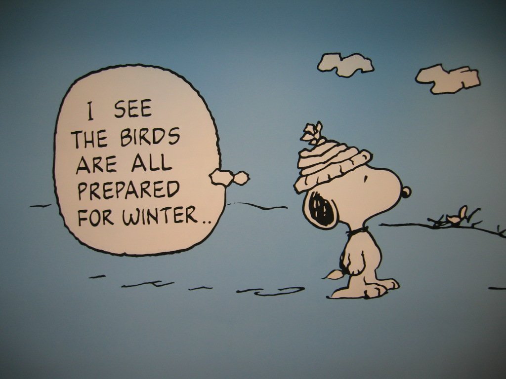 Snoopy - HD Wallpaper 