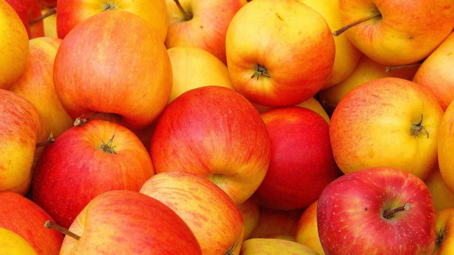 Download Free Hd Fruit Apple Desktop Background Wallpaper, - Fruits Apple Hd  - 1503x845 Wallpaper 