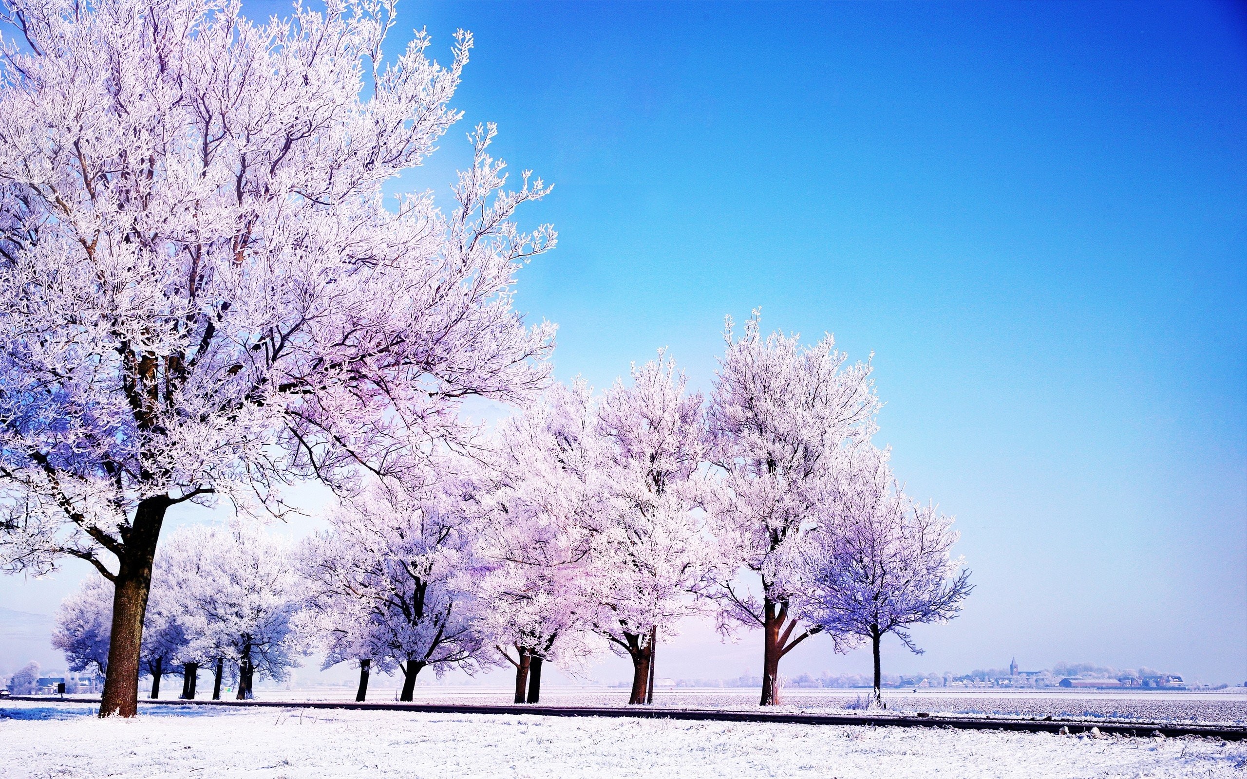 Winter Wallpaper Background - HD Wallpaper 