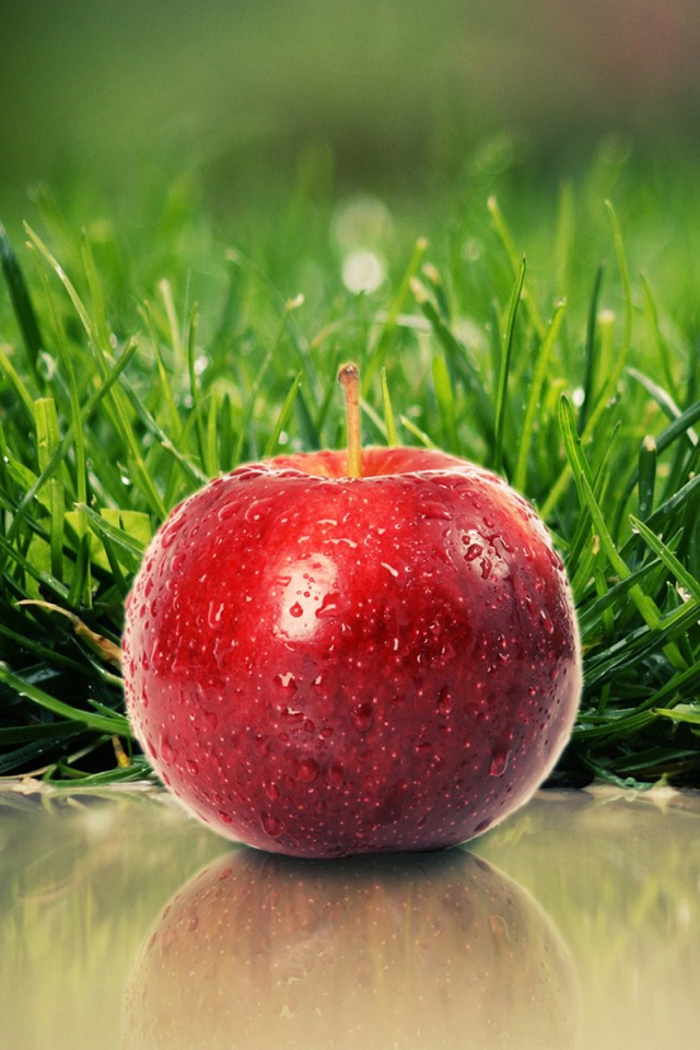Red Apple Backgrounds Wallpaper - Apple Fruit - HD Wallpaper 