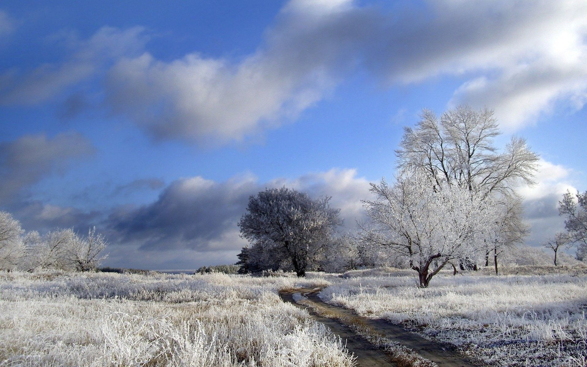 Nature, Download, Abstract Hd Wallpaper,winter, Mac - Пушкин Вот Север Тучи Нагоняя - HD Wallpaper 