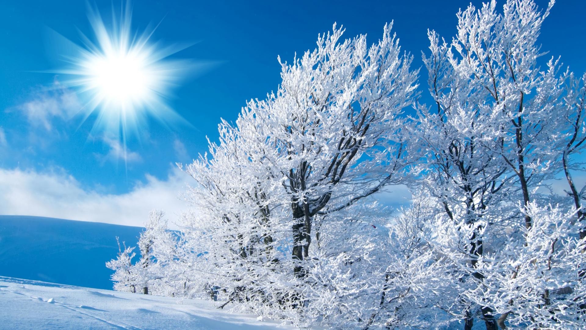 Winter Â - Best Winter Wallpapers Hd - HD Wallpaper 