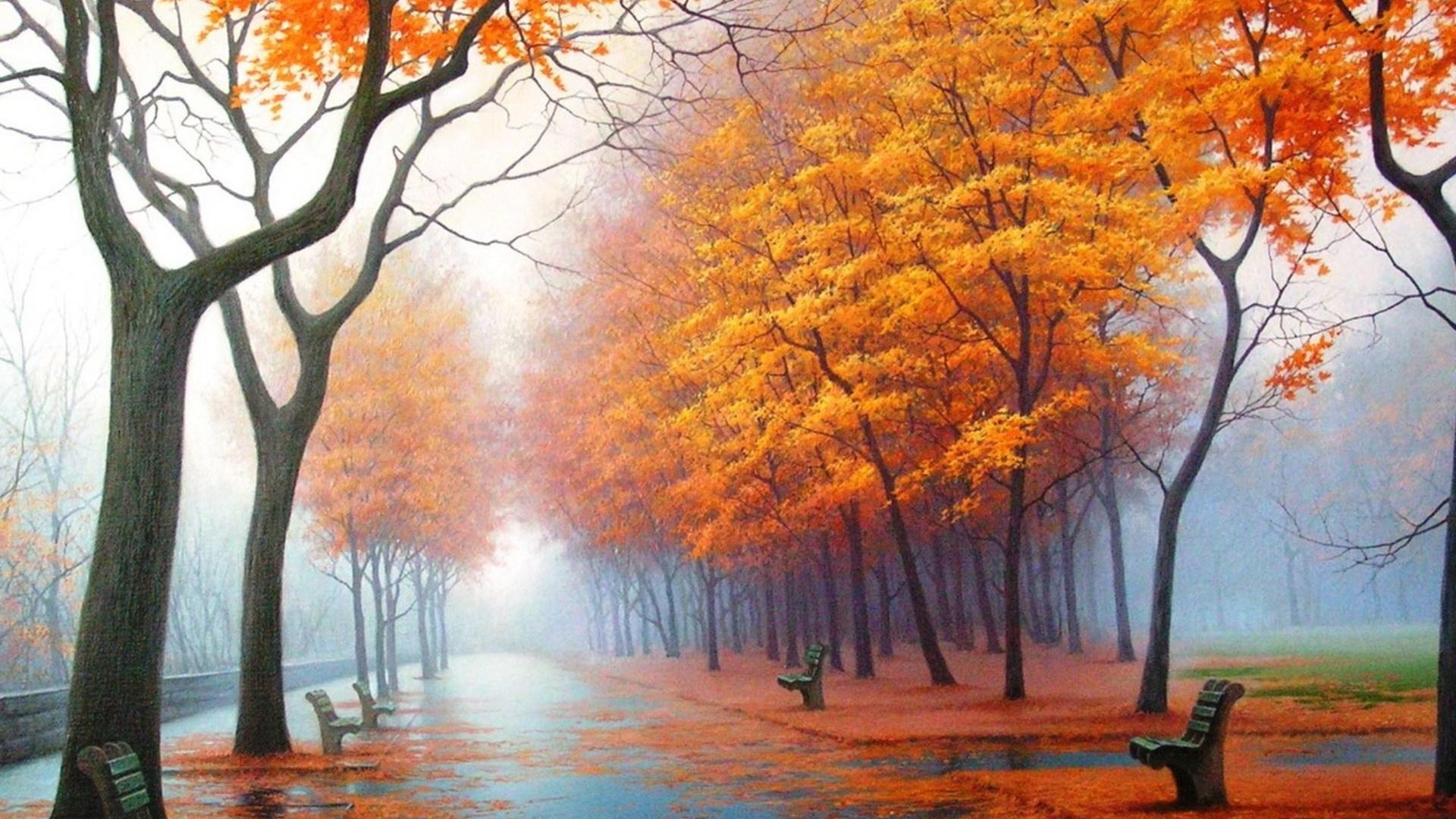 Autumn Park Trees Leaf Fall Fog - Autumn Hd - HD Wallpaper 