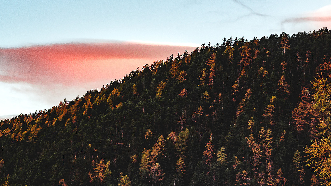 Desktop Wallpaper Laptop Mac Macbook Air Nz92 Fall - Autumn Iphone X - HD Wallpaper 