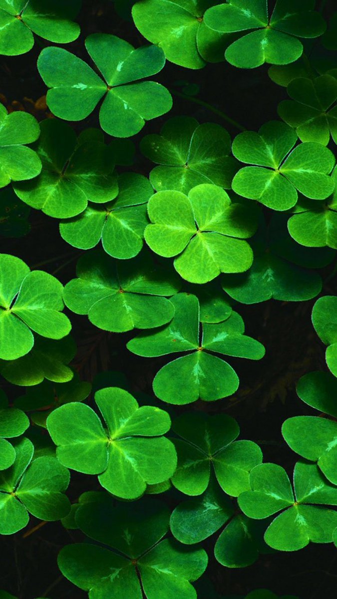 St Patrick's Day Phone Background - HD Wallpaper 