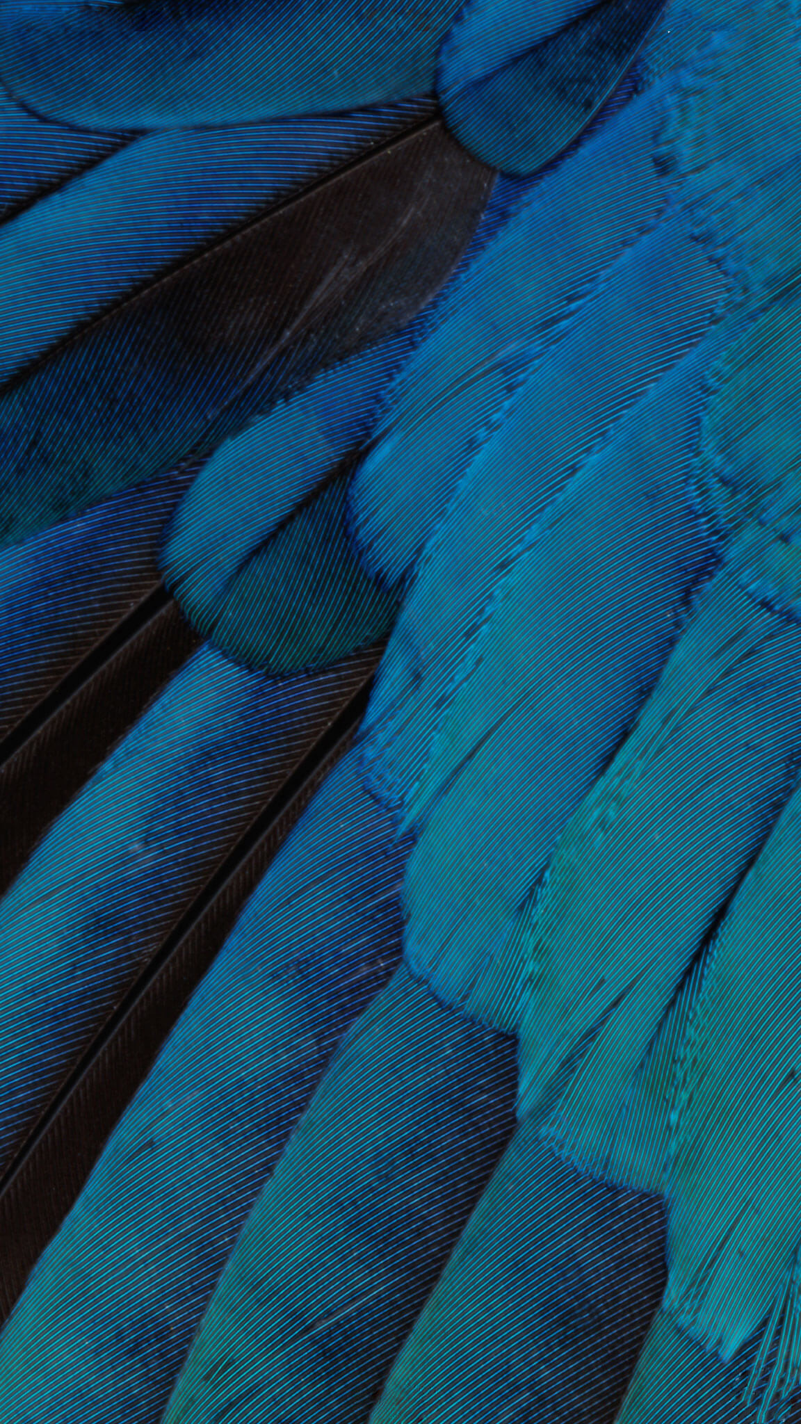 Download Ios 10 Stock Wallpapers - Ios 9 - 1152x2048 Wallpaper Download Ios 10 Stock Wallpapers - Ios 9 - 1152x2048 Wallpaper