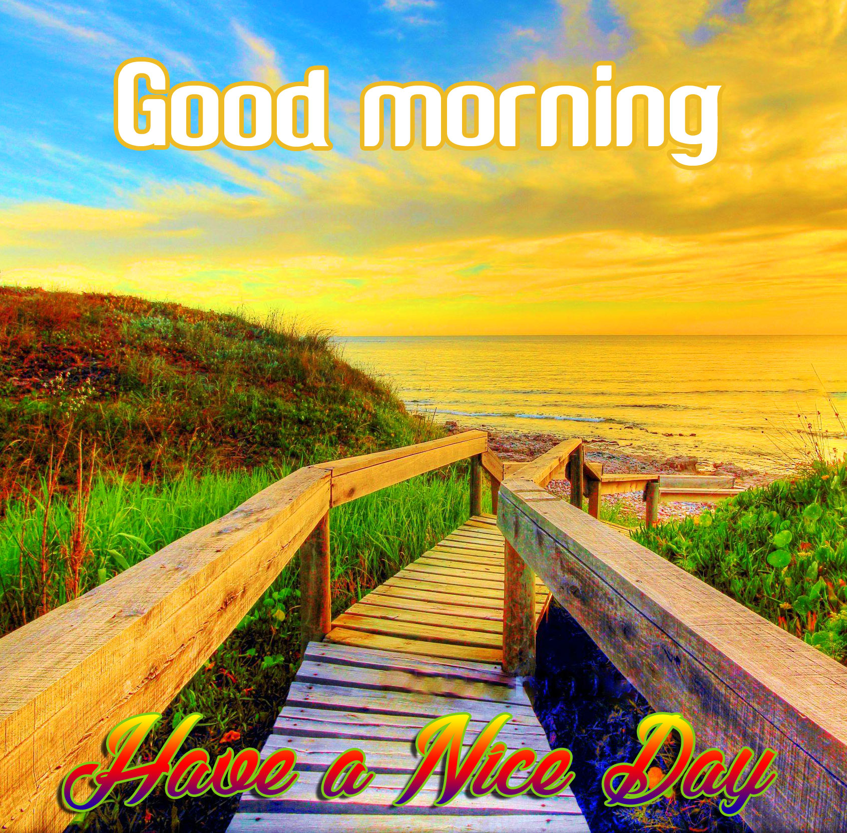 Good Morning Image With Nature Pics Download - Nature Good Morning Image Hd - 1692x1664 Wallpaper Good Morning Image With Nature Pics Download - Nature Good Morning Image Hd - 1692x1664 Wallpaper