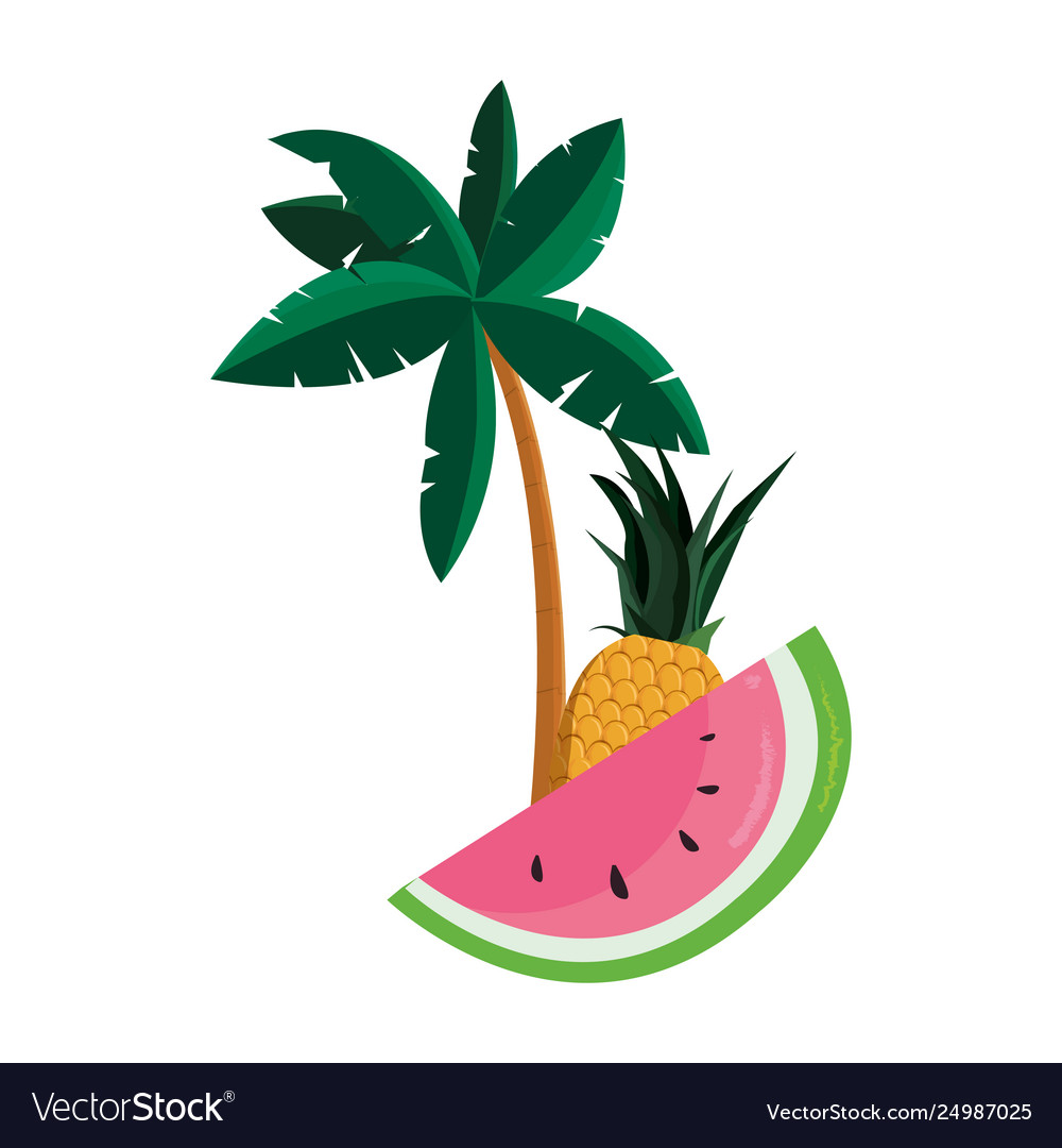 Tropical Watermelon Pineapples - HD Wallpaper 