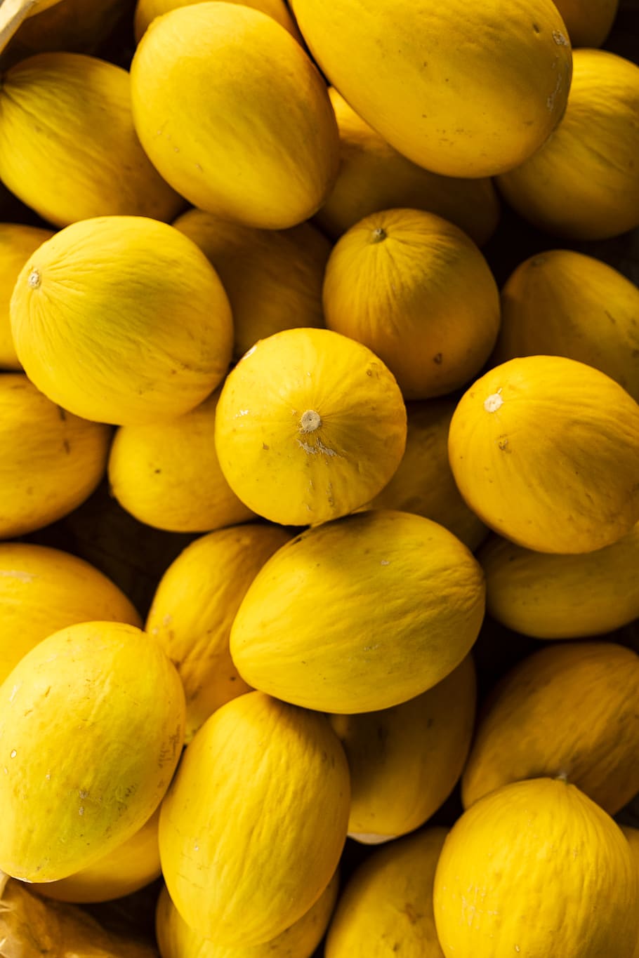 Fruit, Tropical, Melon, Beach, Caribbean, Yellow, Organic, - Seedless Fruit - HD Wallpaper 