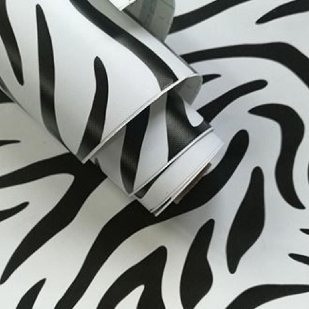 Zebra - HD Wallpaper 